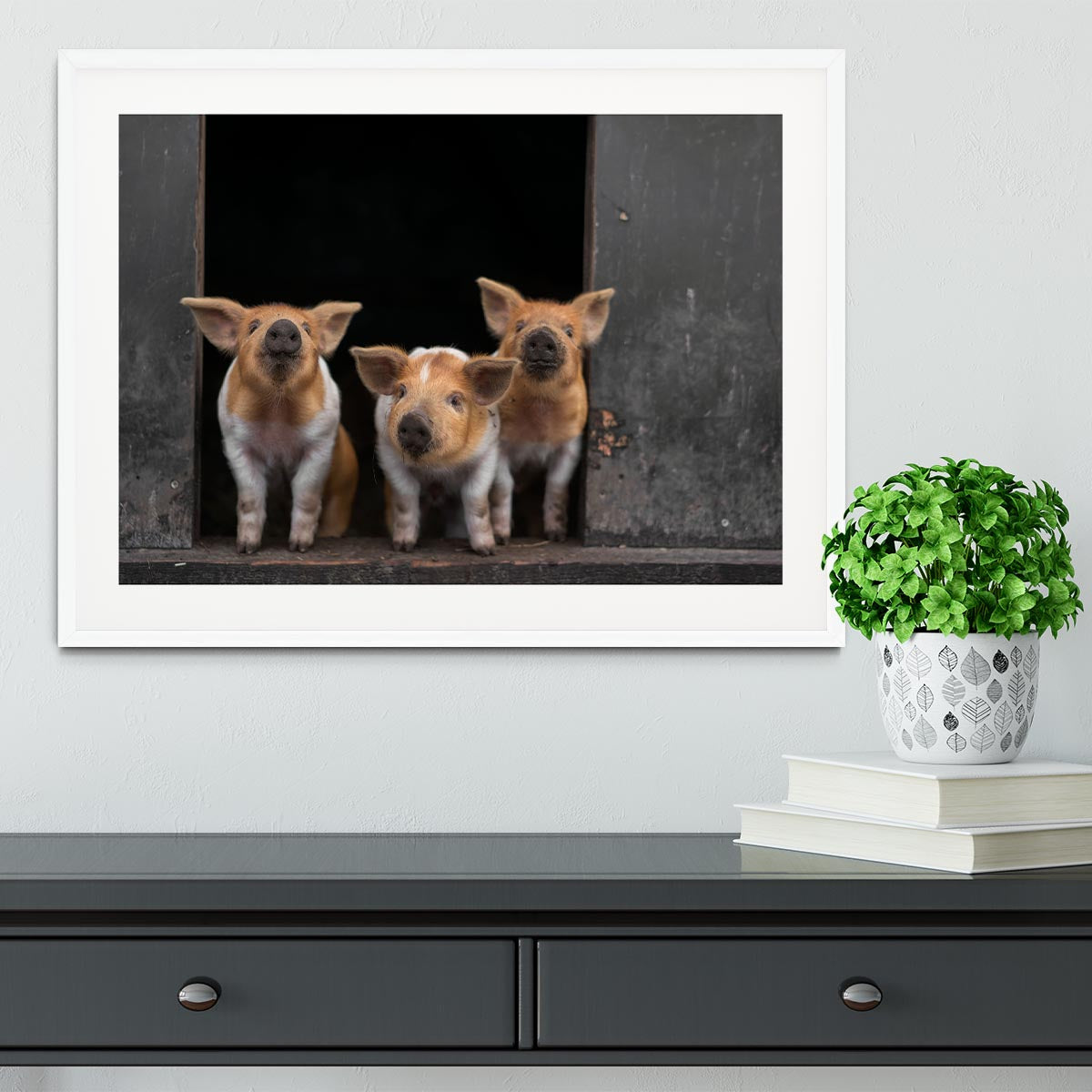 Three Piggies Framed Print - 1x - 5