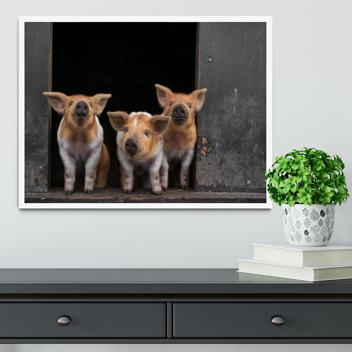 Three Piggies Framed Print - 1x -6