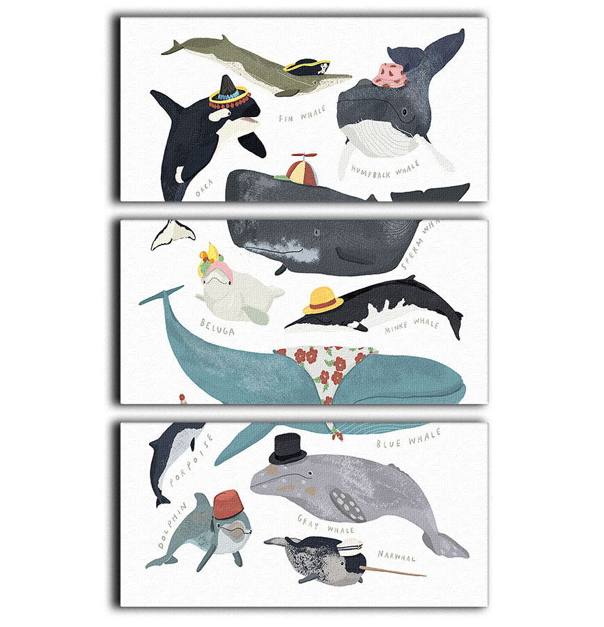 Whales In Hats 3 Split Panel Canvas Print - 1x - 1