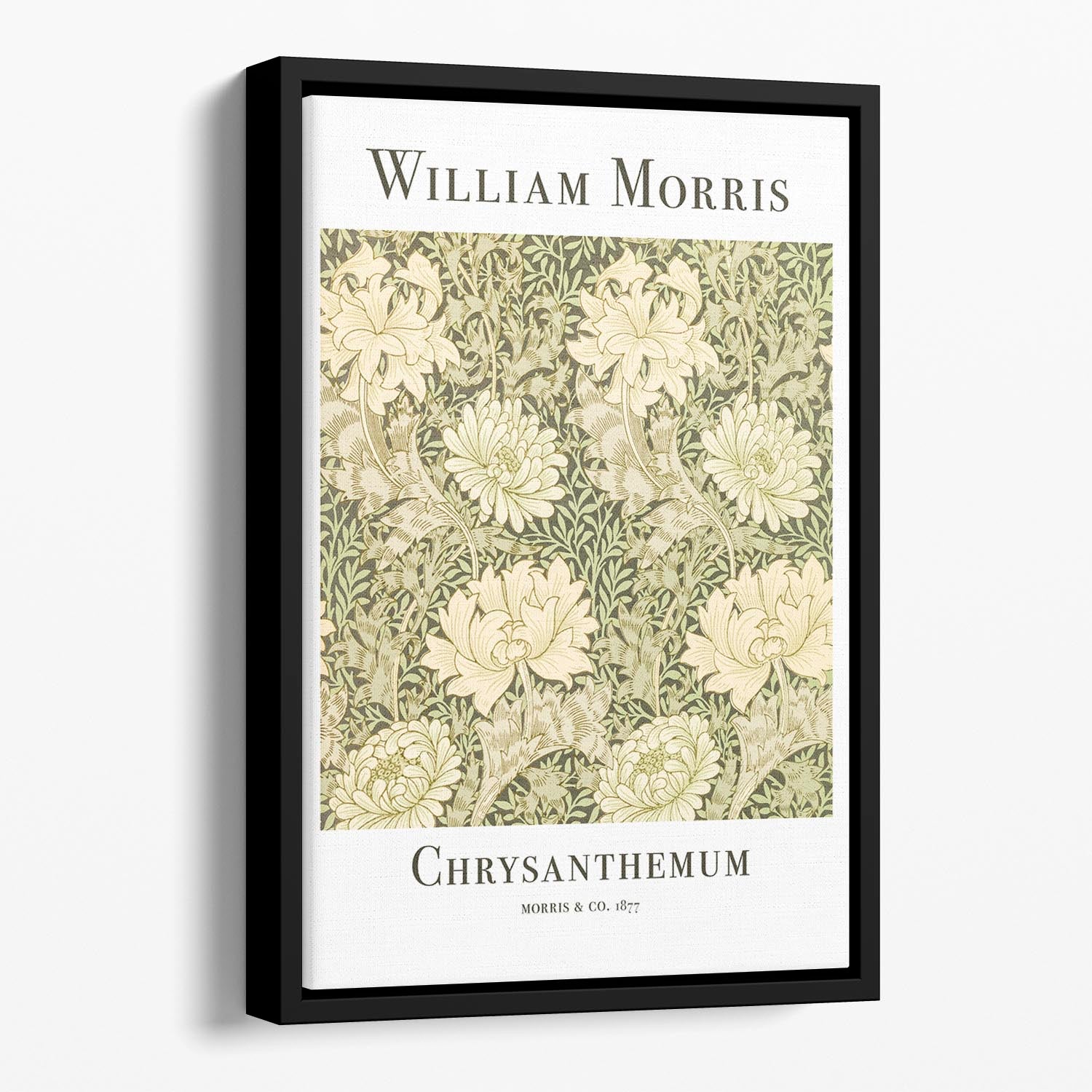 William Morris Chrysanthemum Floating Framed Canvas - Canvas Art Rocks - 1