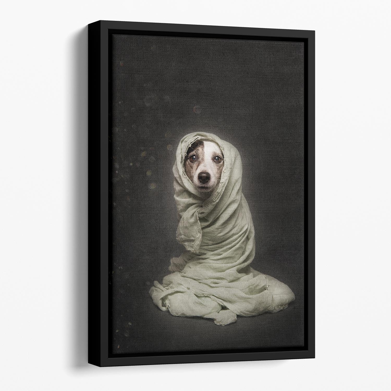 Wrapped Floating Framed Canvas - 1x - 1