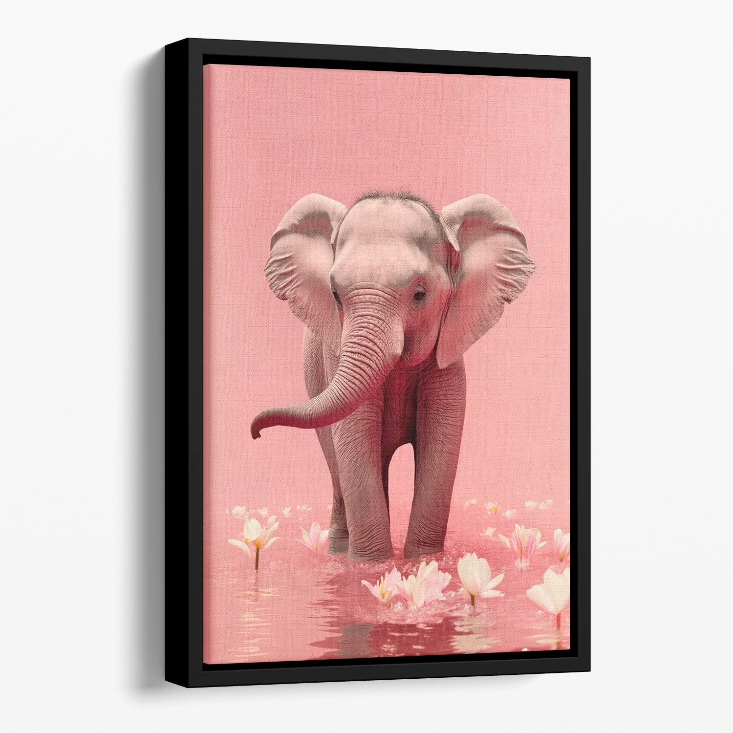 Young Elephant Floating Framed Canvas - 1x - 1