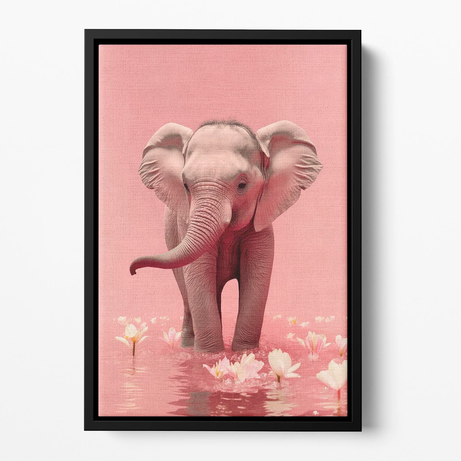 Young Elephant Floating Framed Canvas - 1x - 2