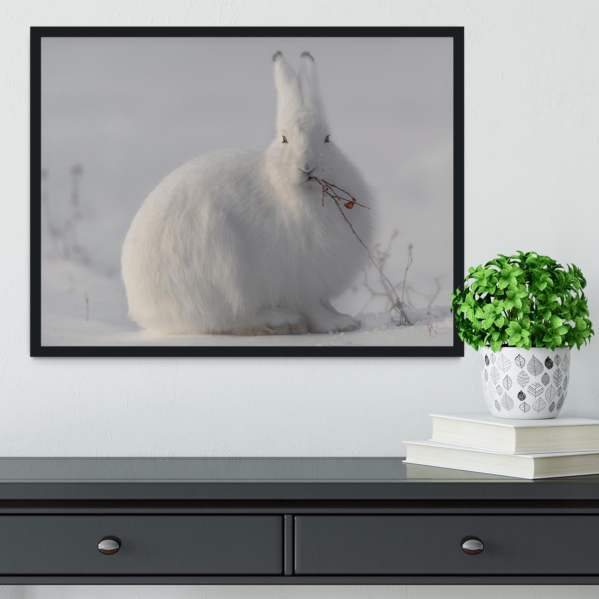 wild arctic hare Framed Print - 1x - 2