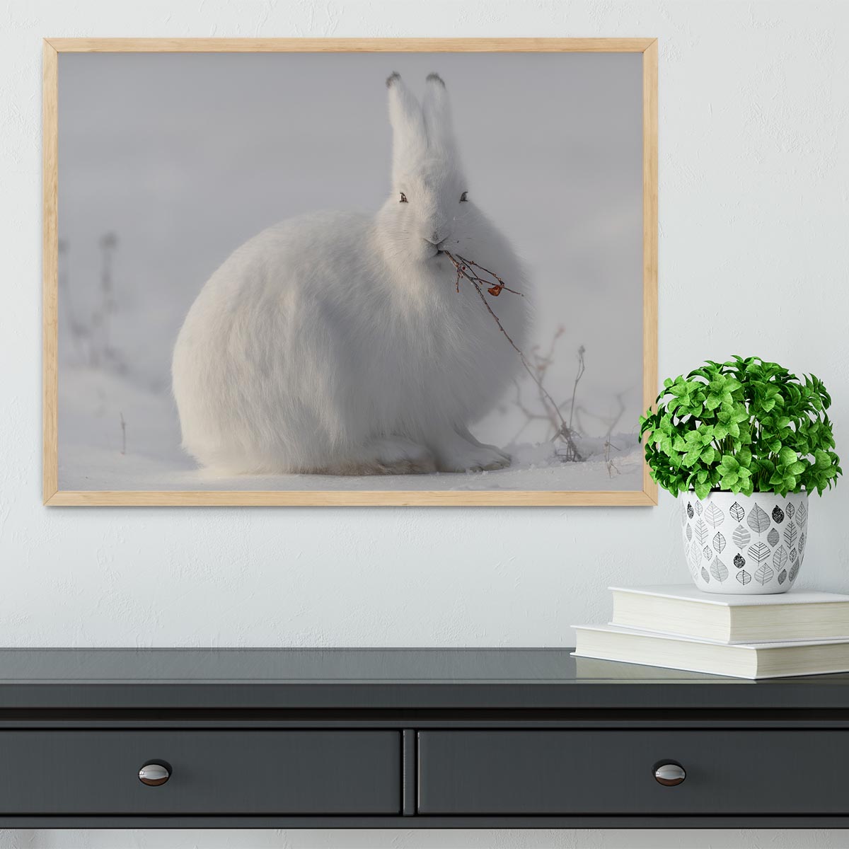 wild arctic hare Framed Print - 1x - 4