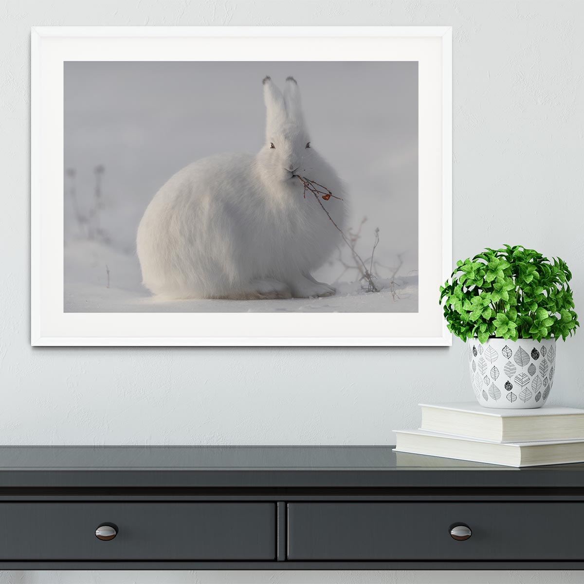 wild arctic hare Framed Print - 1x - 5