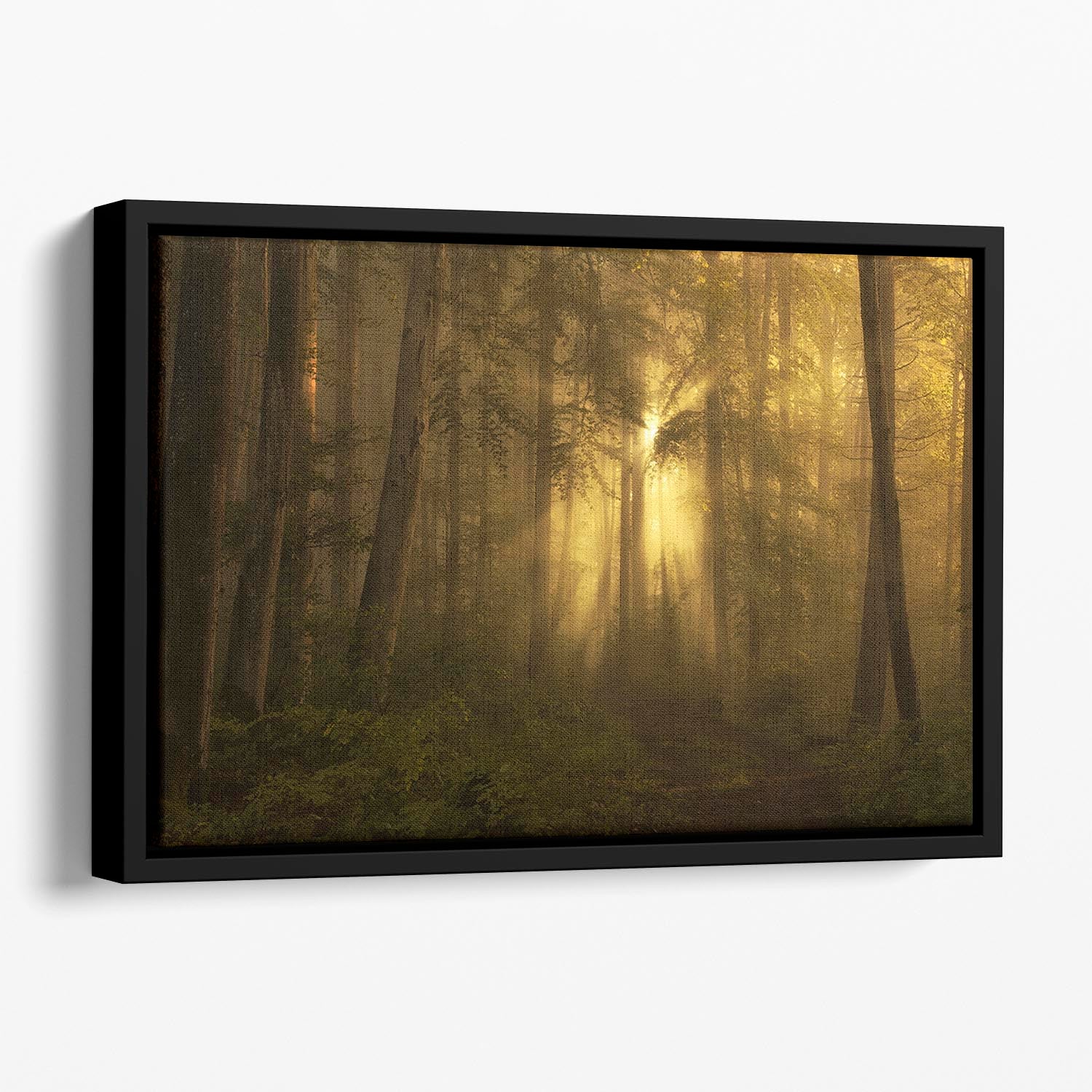 Yellow - The Bigger Picture Floating Framed Canvas - Canvas Art Rocks - 1