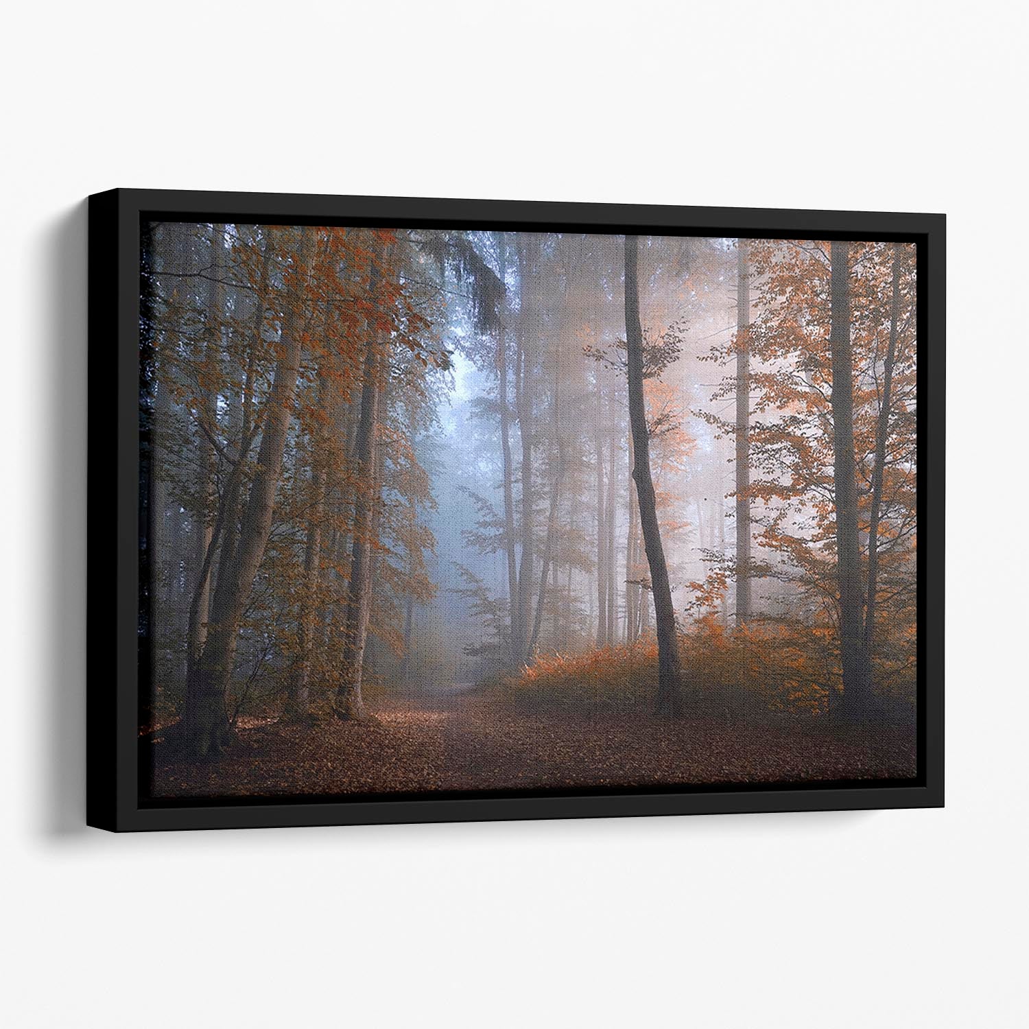 Autumn Colors Floating Framed Canvas - Canvas Art Rocks - 1