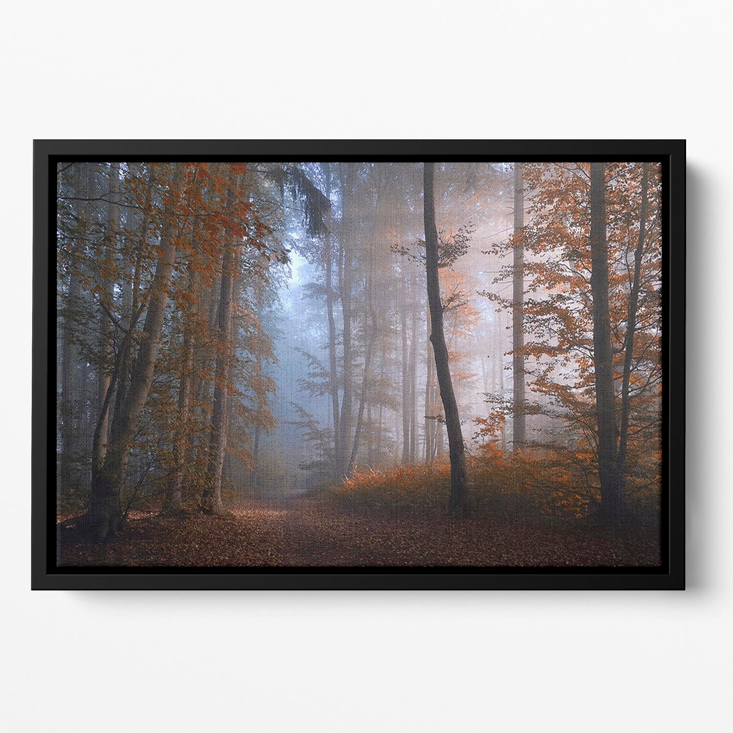 Autumn Colors Floating Framed Canvas - Canvas Art Rocks - 2