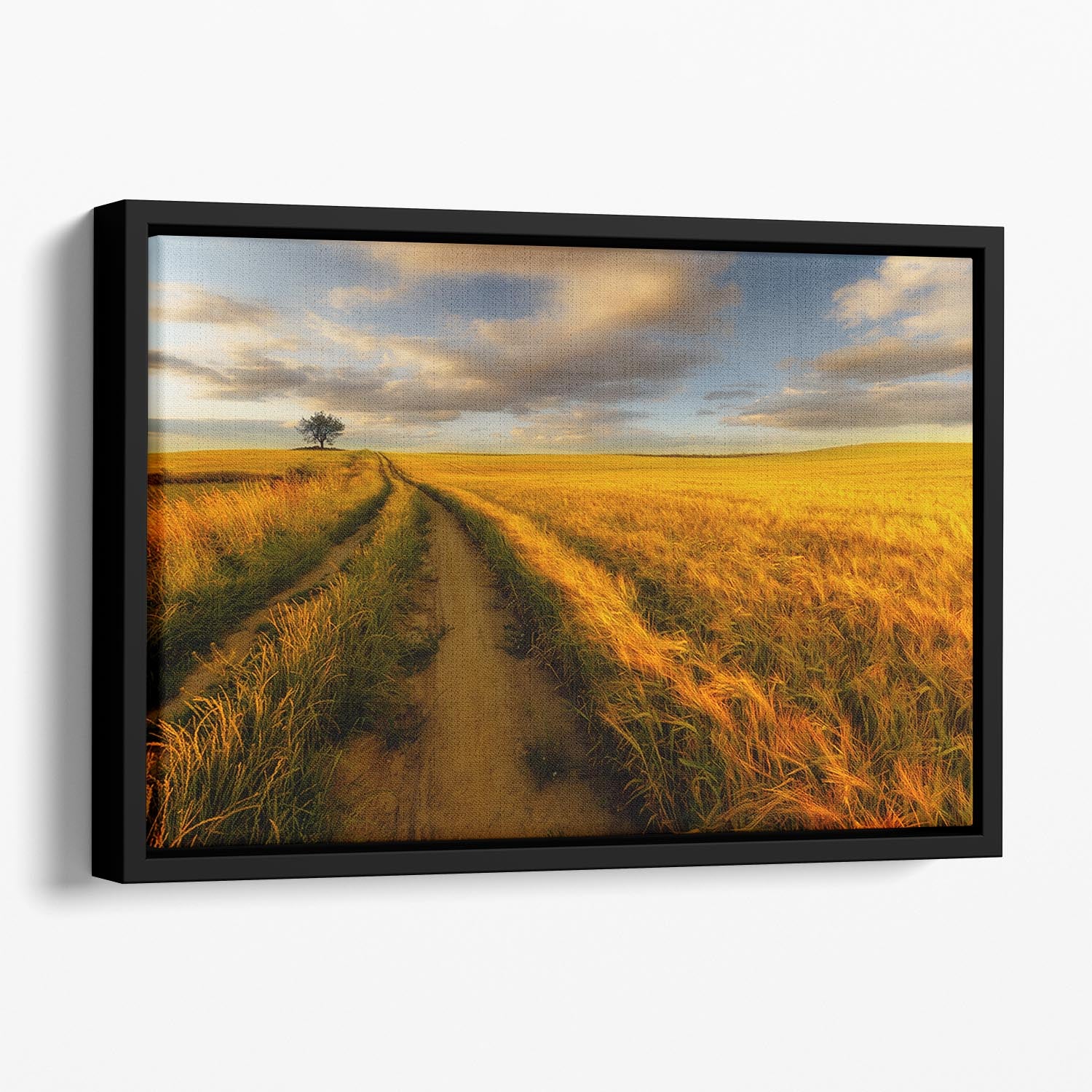 Yellow Floating Framed Canvas - Canvas Art Rocks - 1