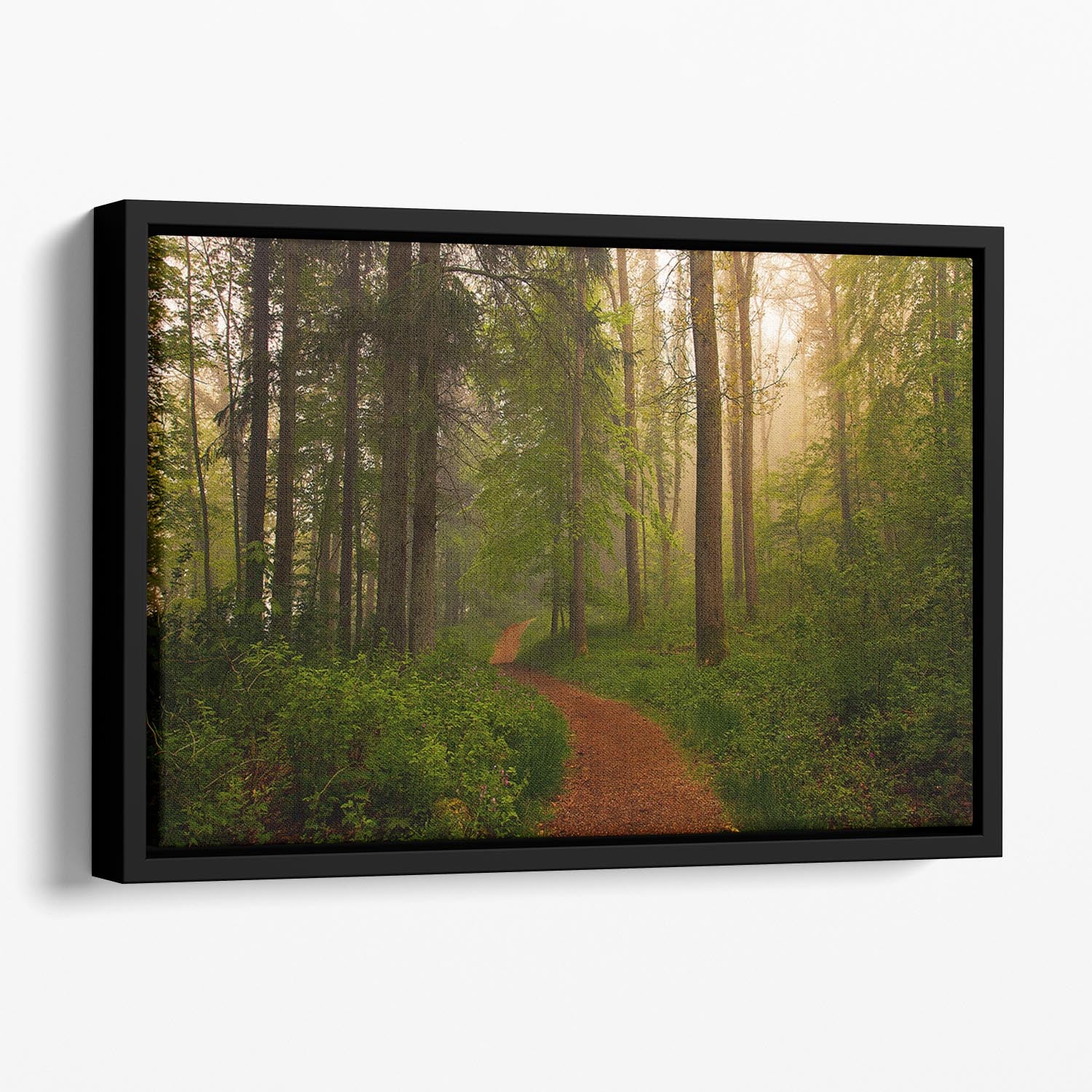 The Red Path Floating Framed Canvas - Canvas Art Rocks - 1