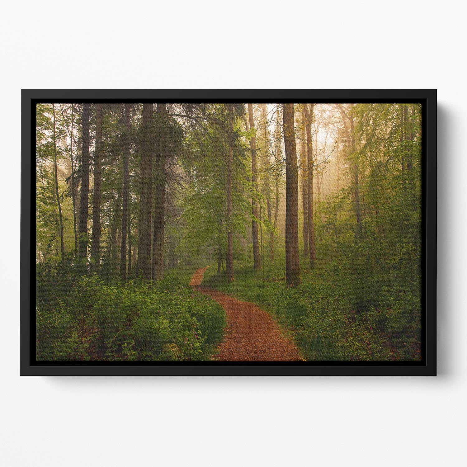 The Red Path Floating Framed Canvas - Canvas Art Rocks - 2