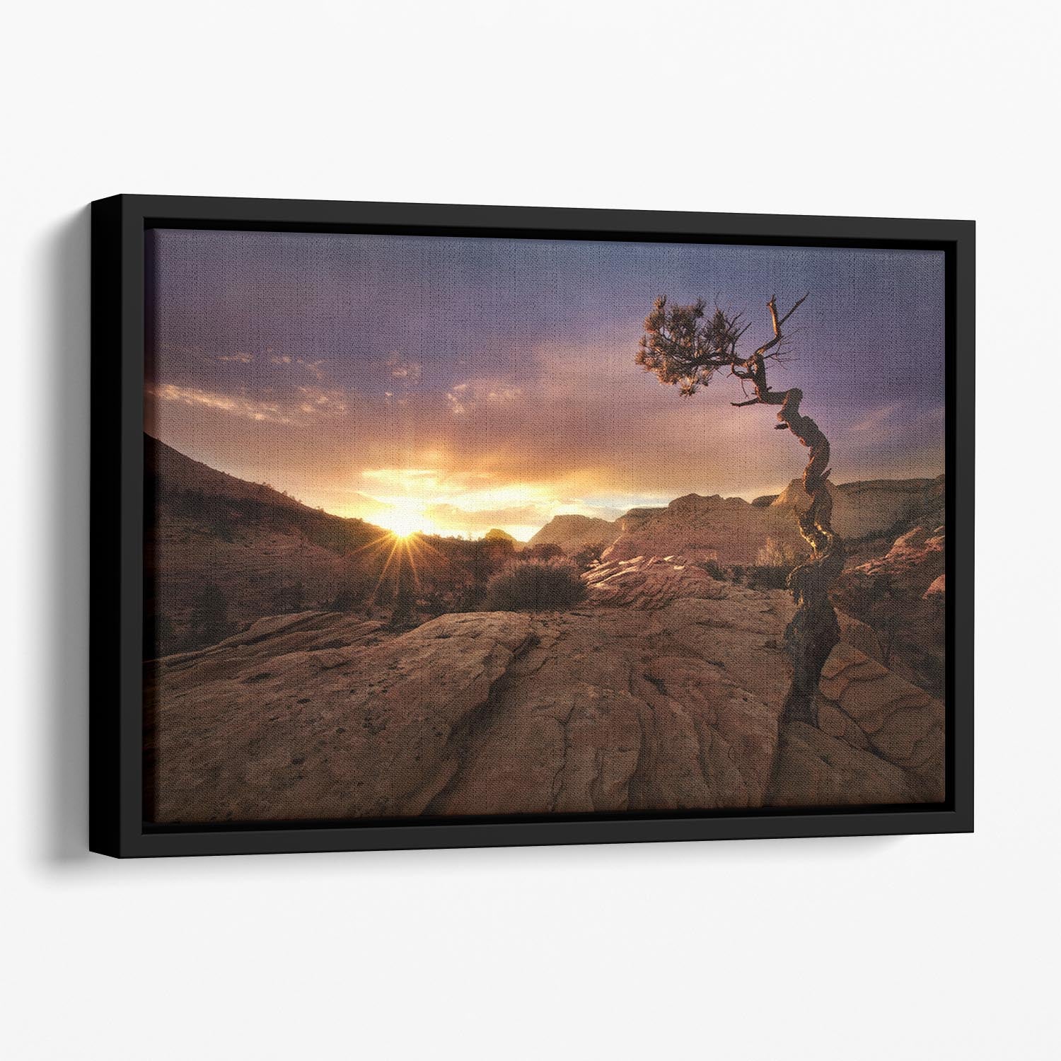 Distorted Floating Framed Canvas - Canvas Art Rocks - 1