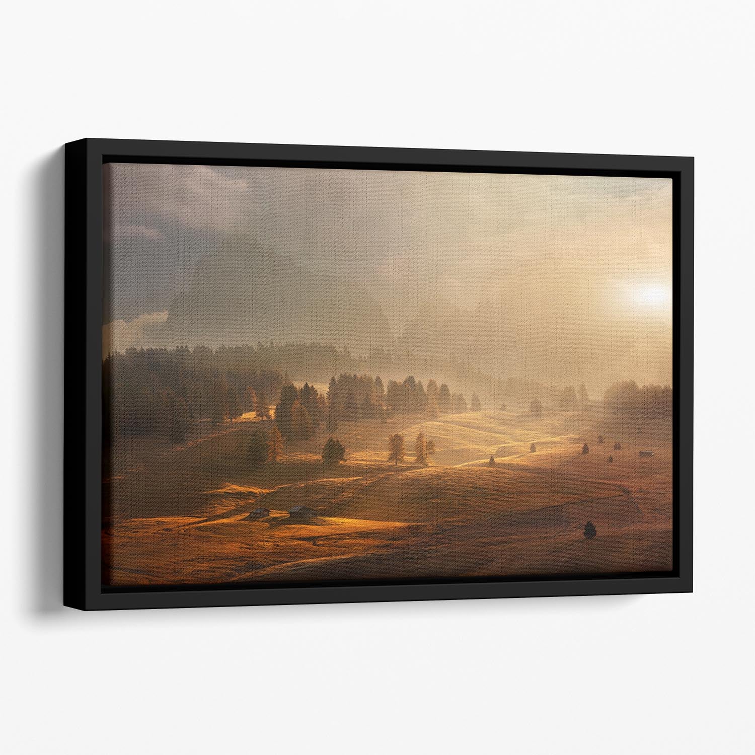 Morning On Alpine Meadow Floating Framed Canvas - Canvas Art Rocks - 1