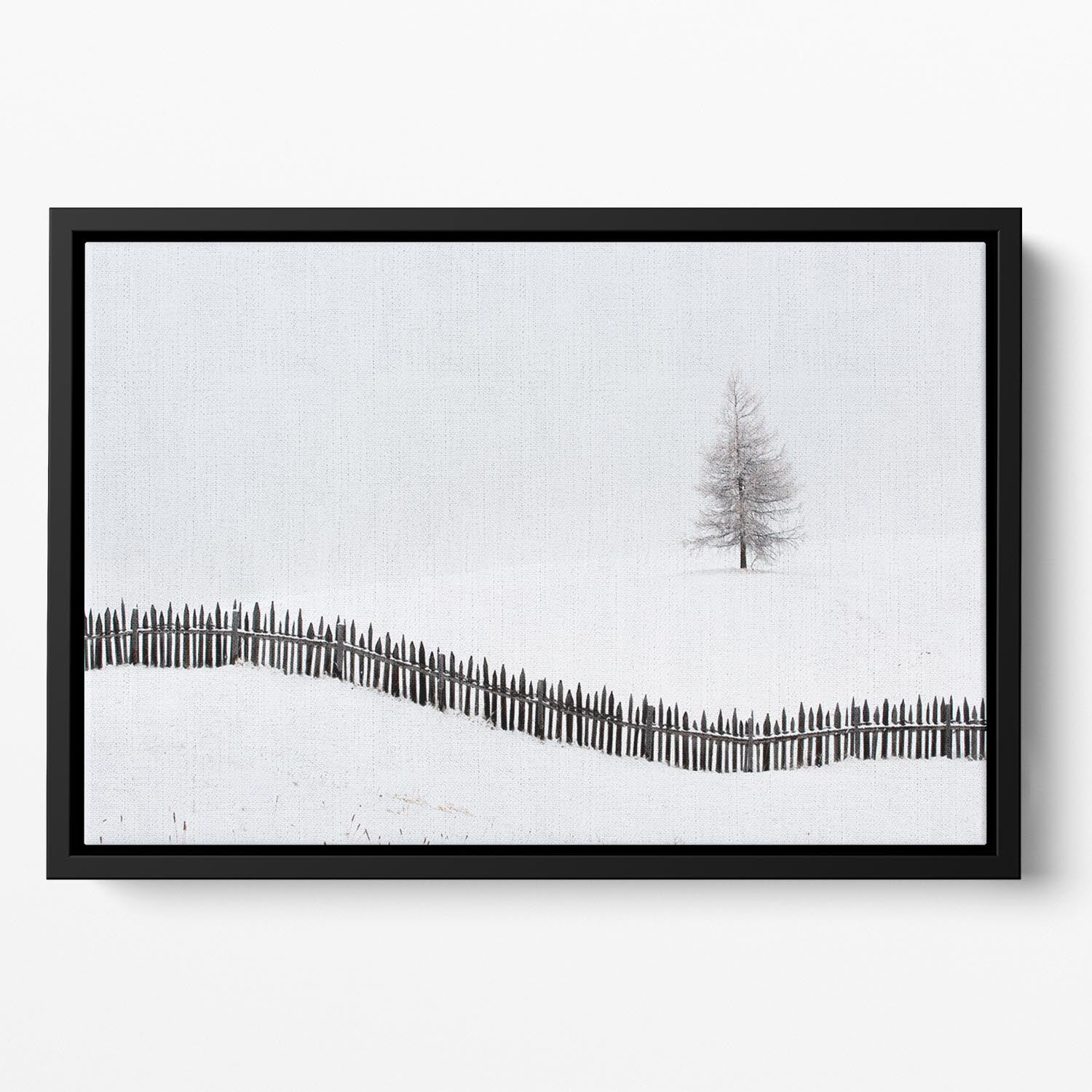 The Larch Behind The Fence Floating Framed Canvas - Canvas Art Rocks - 2