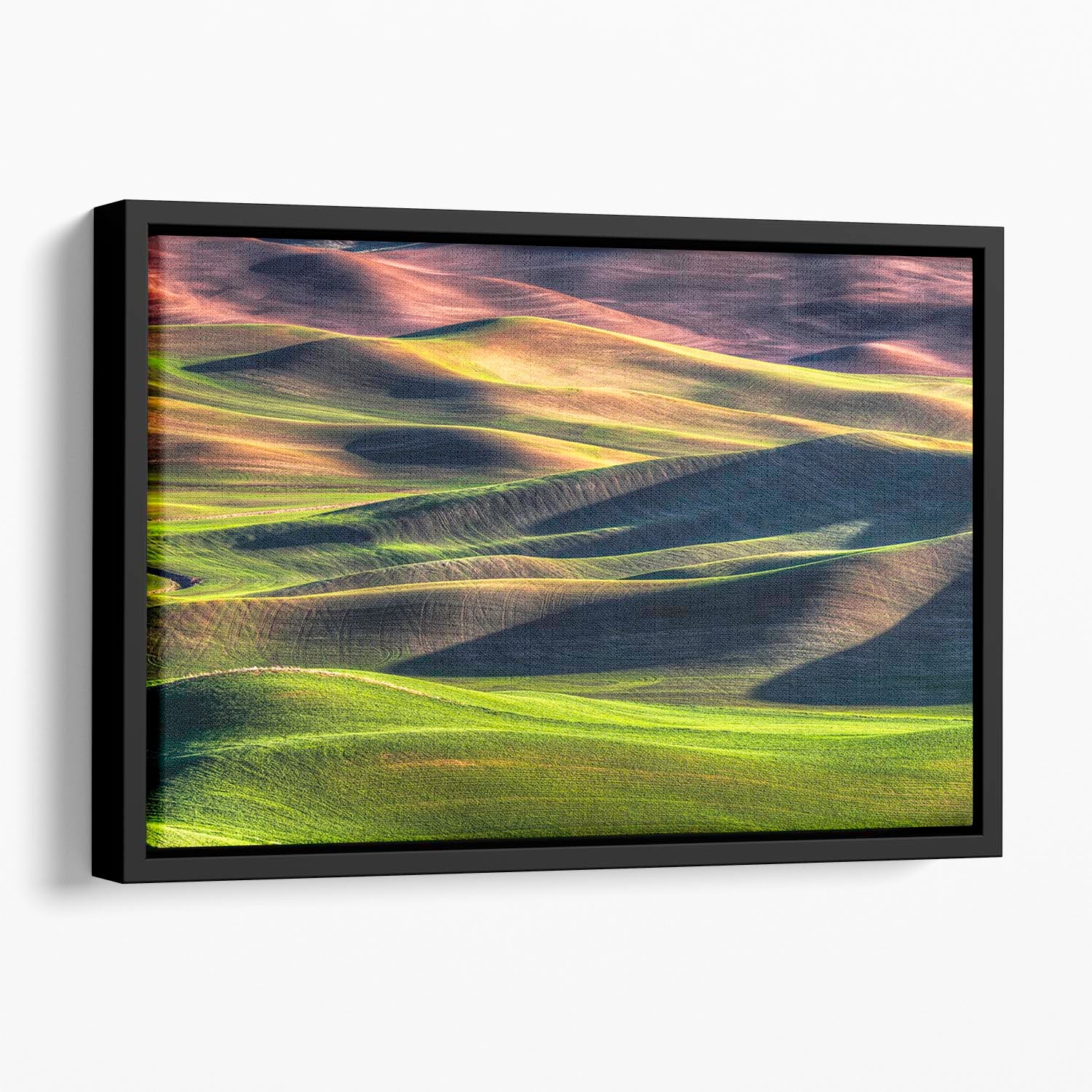 Spring Palette Floating Framed Canvas - Canvas Art Rocks - 1