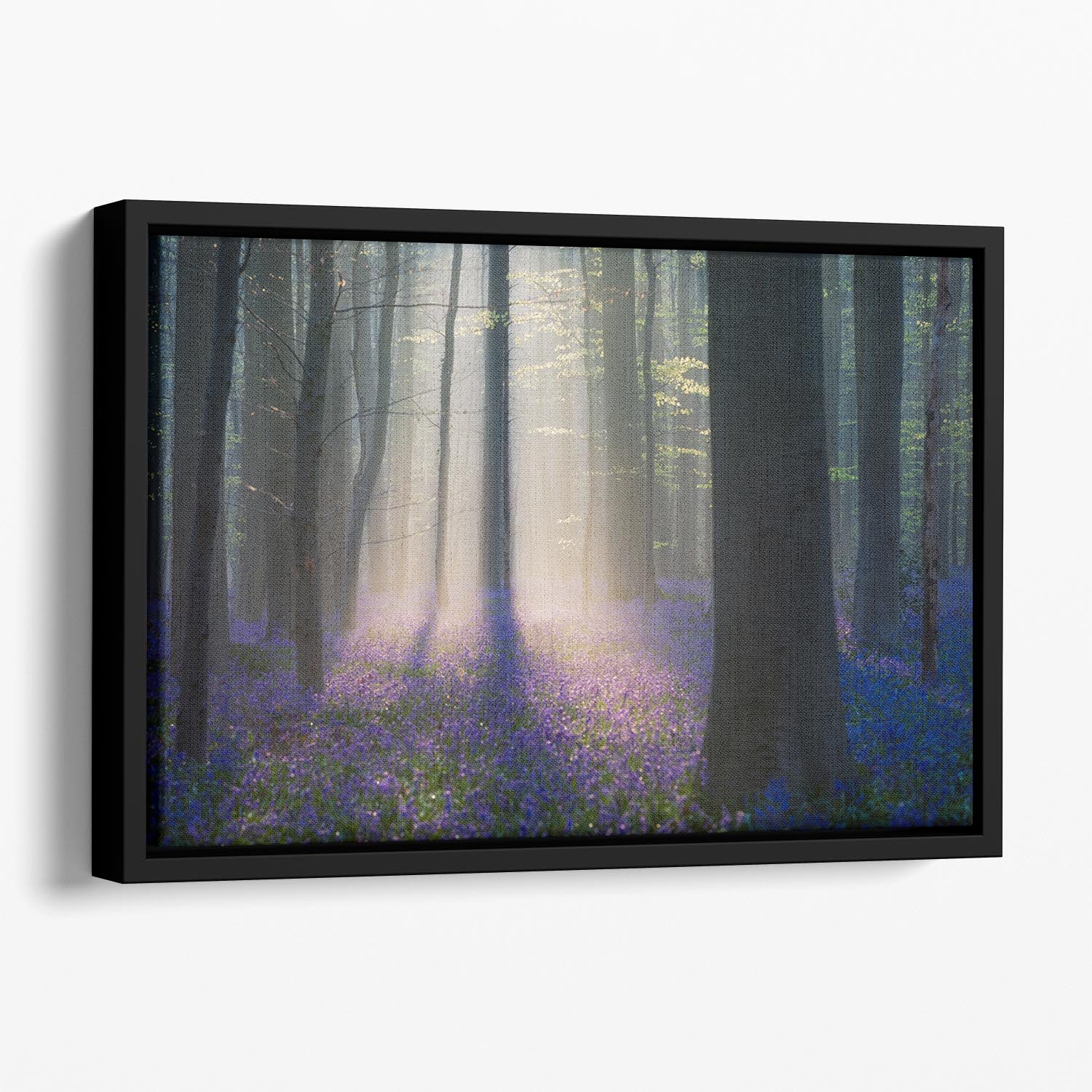 Velvet Light Floating Framed Canvas - Canvas Art Rocks - 1