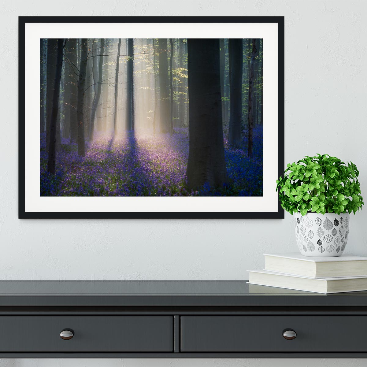 Velvet Light Framed Print - Canvas Art Rocks - 1