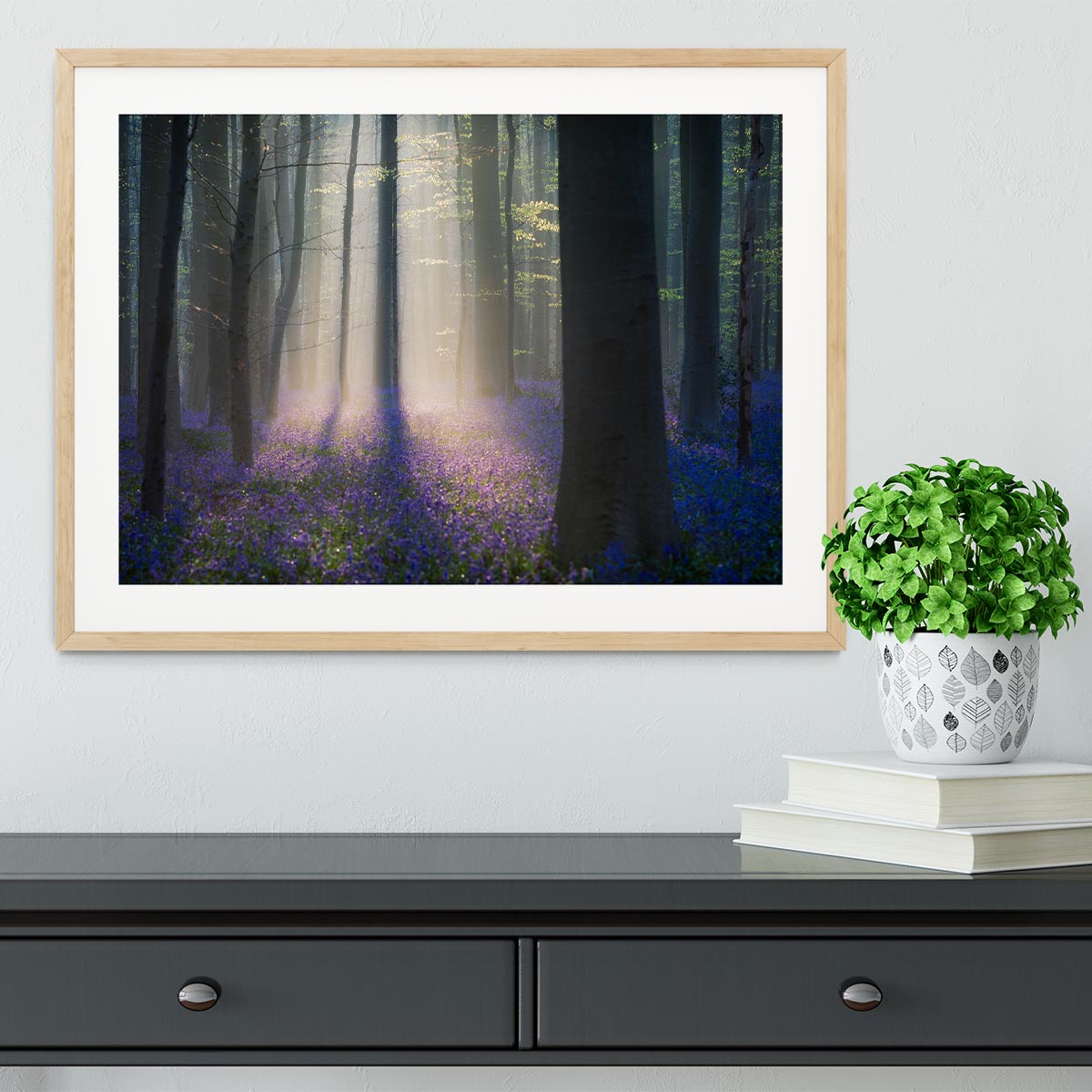 Velvet Light Framed Print - Canvas Art Rocks - 3