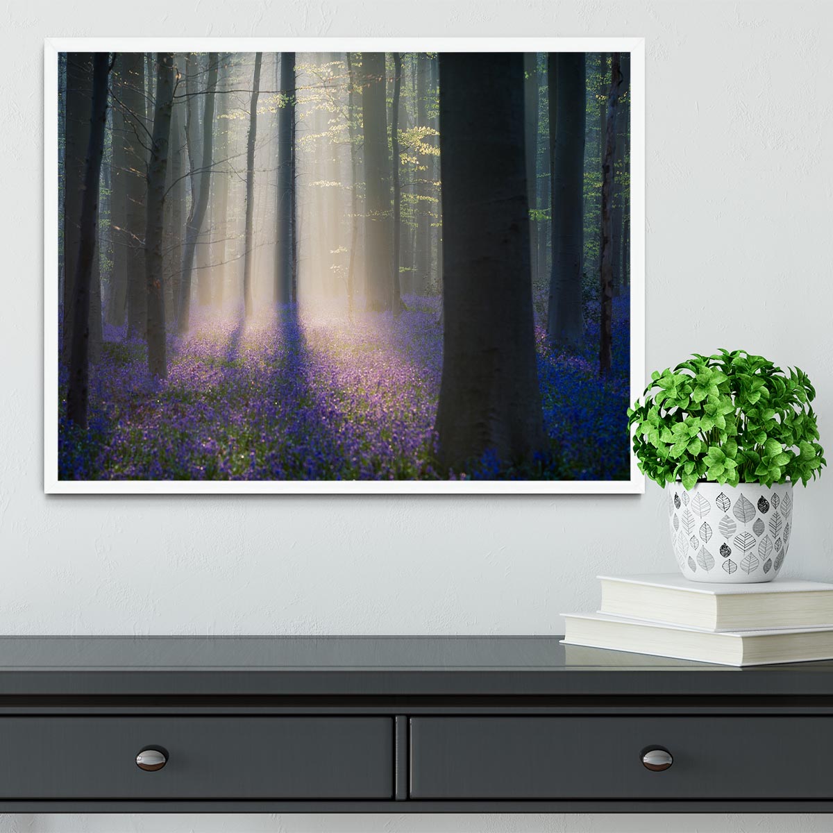 Velvet Light Framed Print - Canvas Art Rocks -6