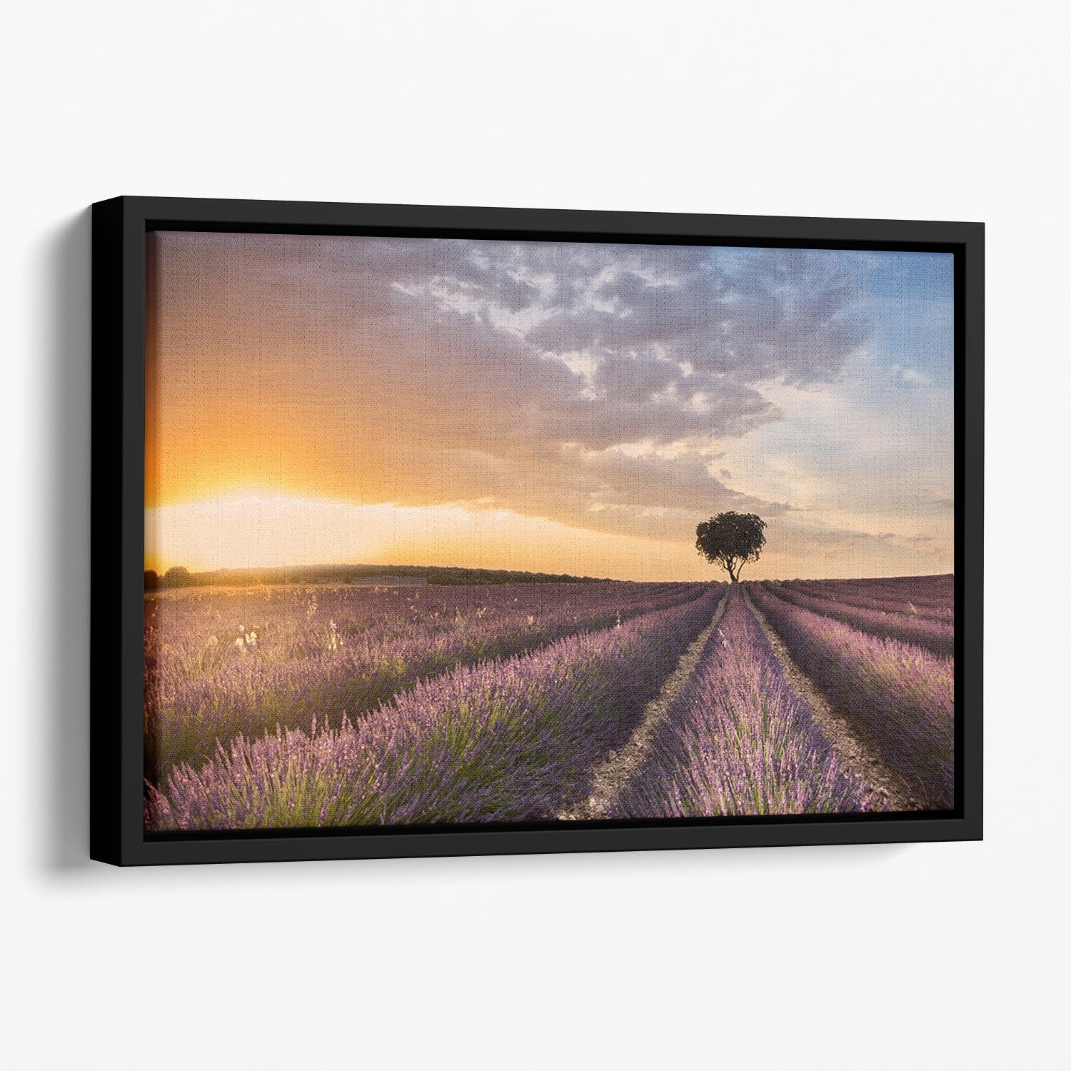 Destination Lavender Floating Framed Canvas - Canvas Art Rocks - 1