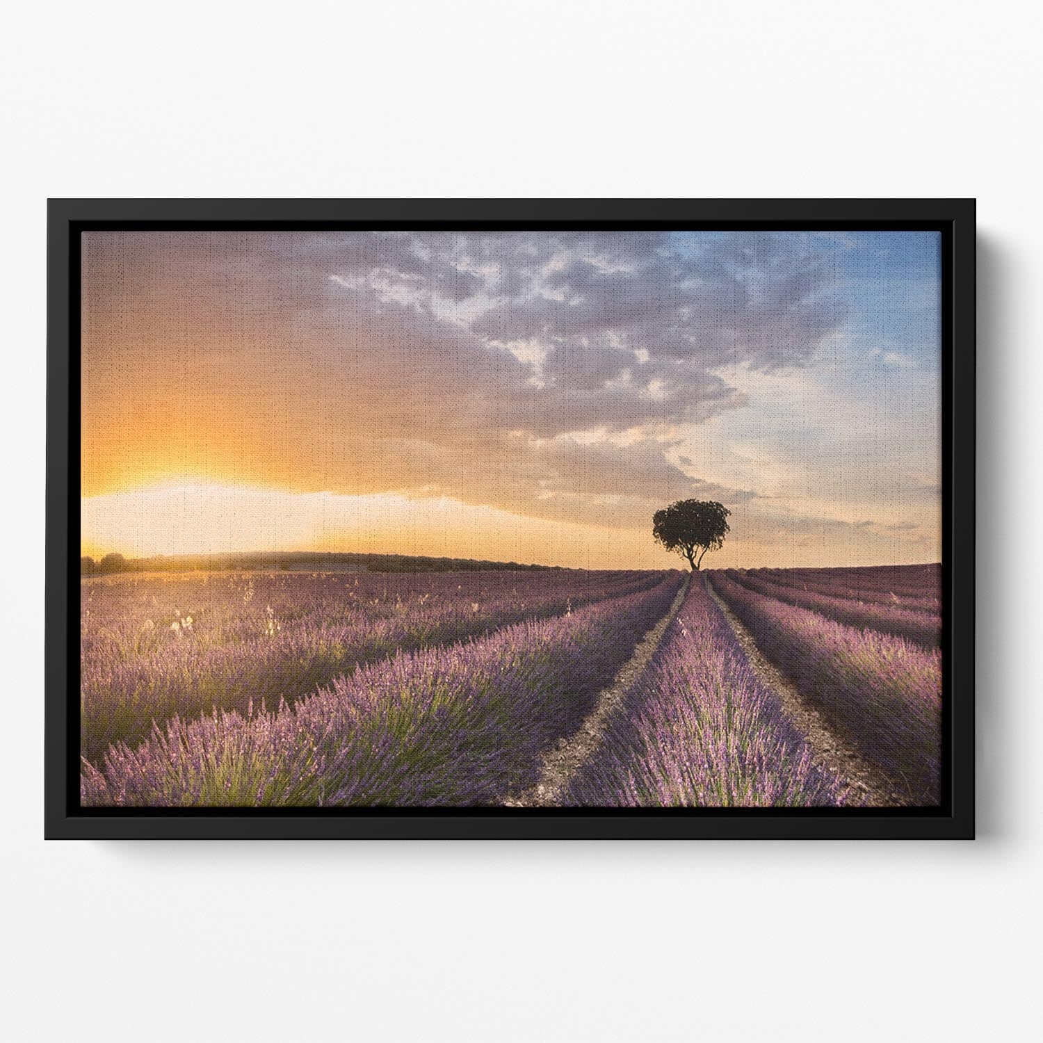 Destination Lavender Floating Framed Canvas - Canvas Art Rocks - 2