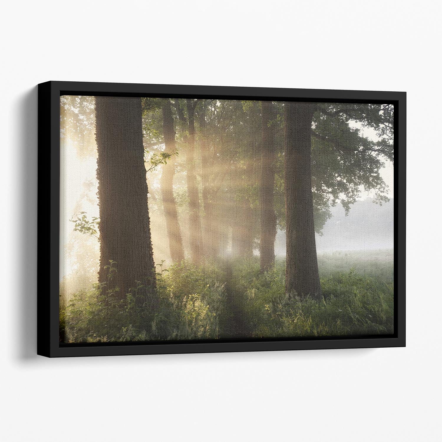 First Day Of Summer Floating Framed Canvas - Canvas Art Rocks - 1