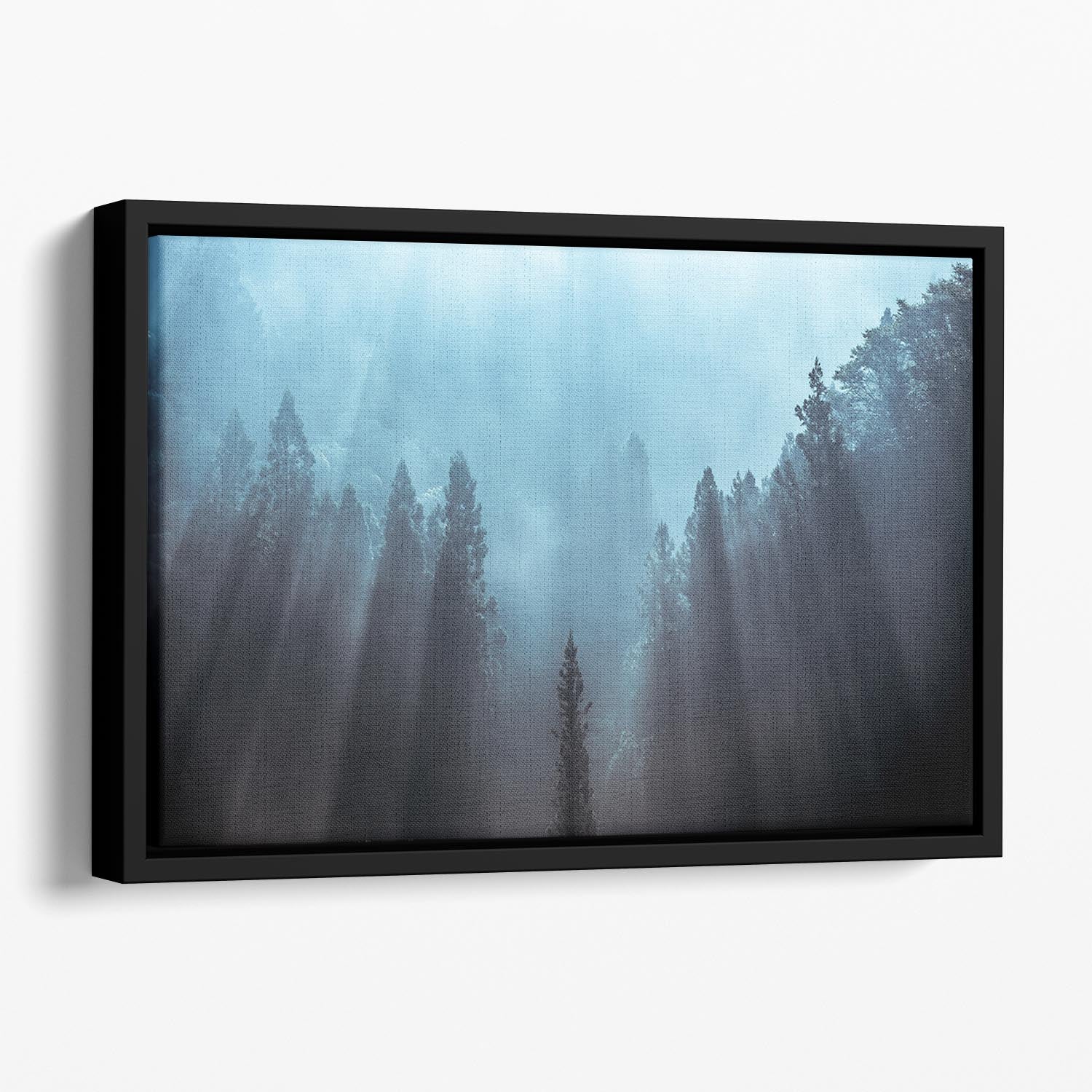 Light To Be Believed Likely Floating Framed Canvas - Canvas Art Rocks - 1
