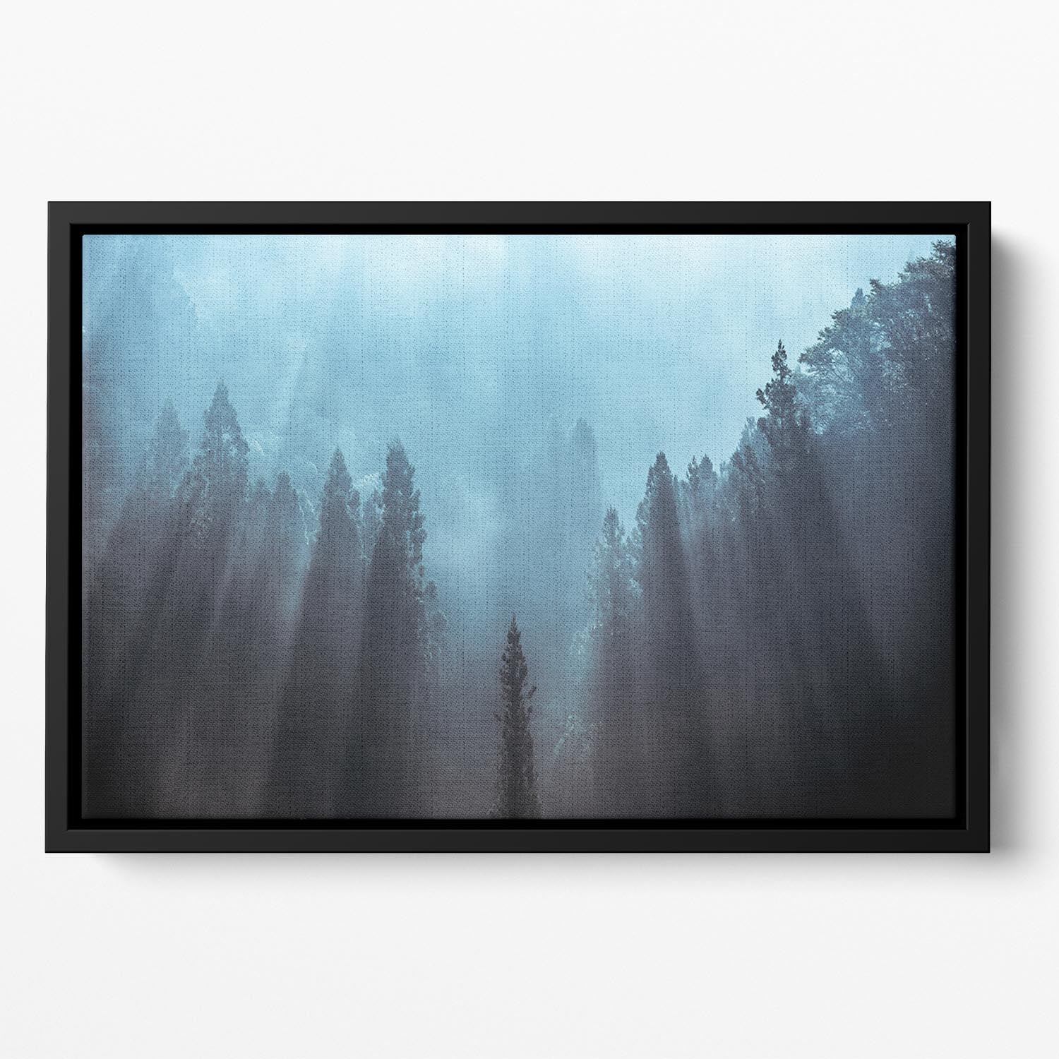 Light To Be Believed Likely Floating Framed Canvas - Canvas Art Rocks - 2