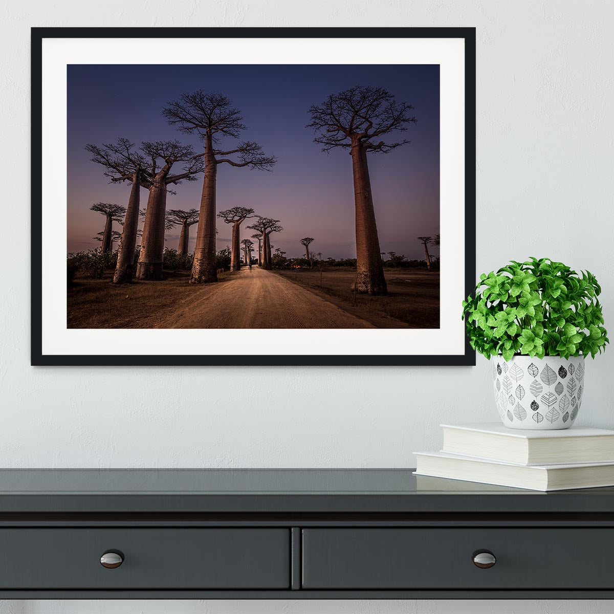 Allace Des Baobabs Framed Print - Canvas Art Rocks - 1