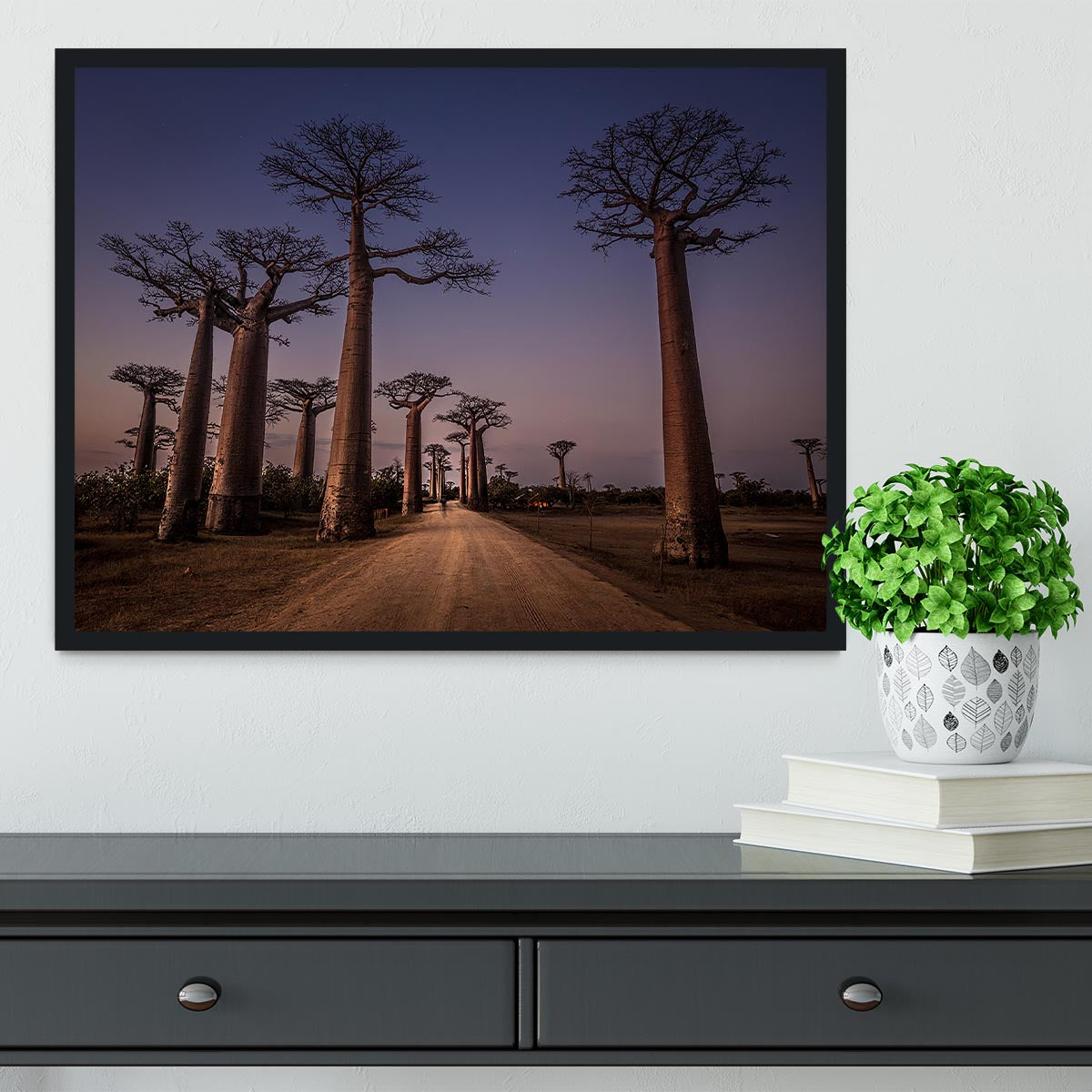 Allace Des Baobabs Framed Print - Canvas Art Rocks - 2