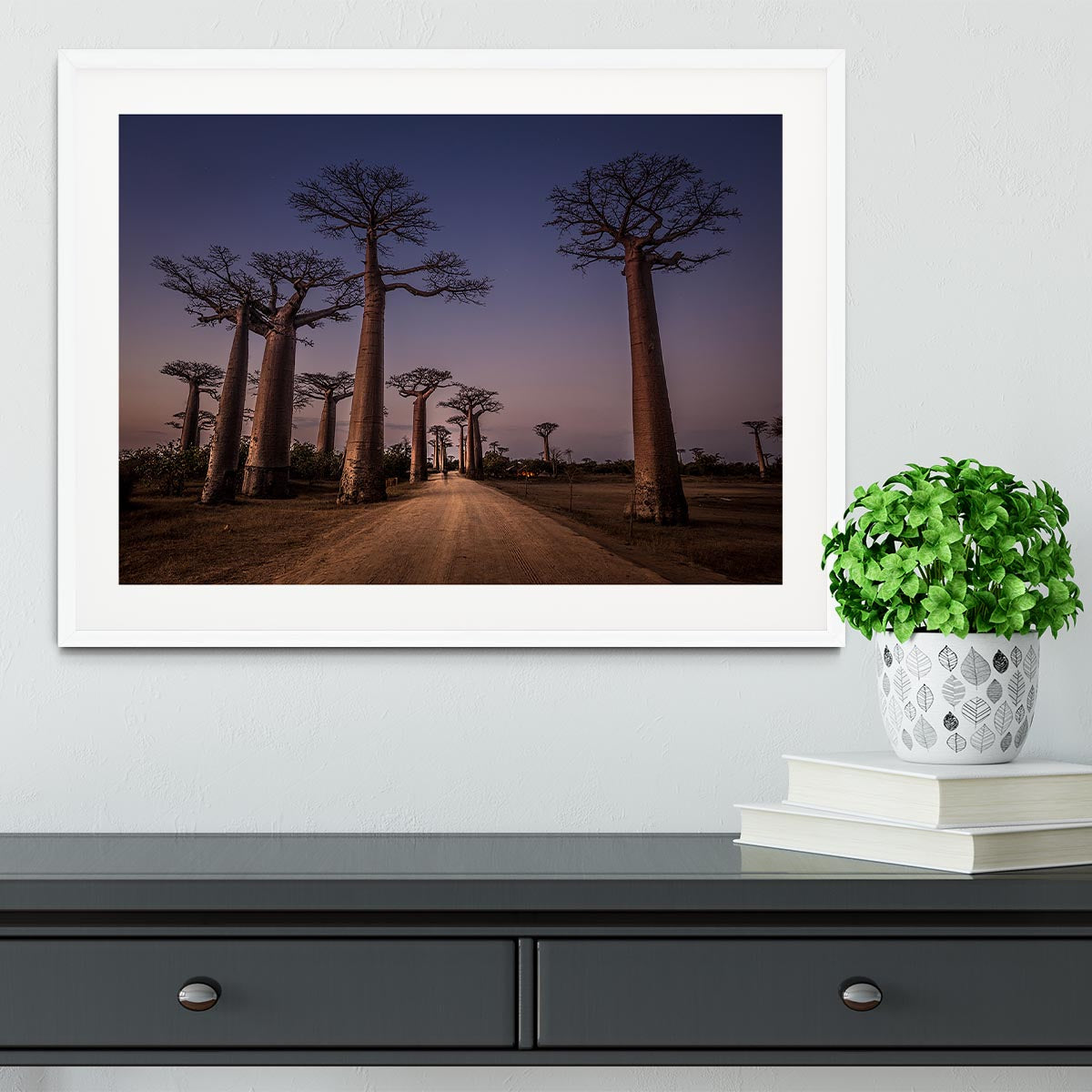 Allace Des Baobabs Framed Print - Canvas Art Rocks - 5