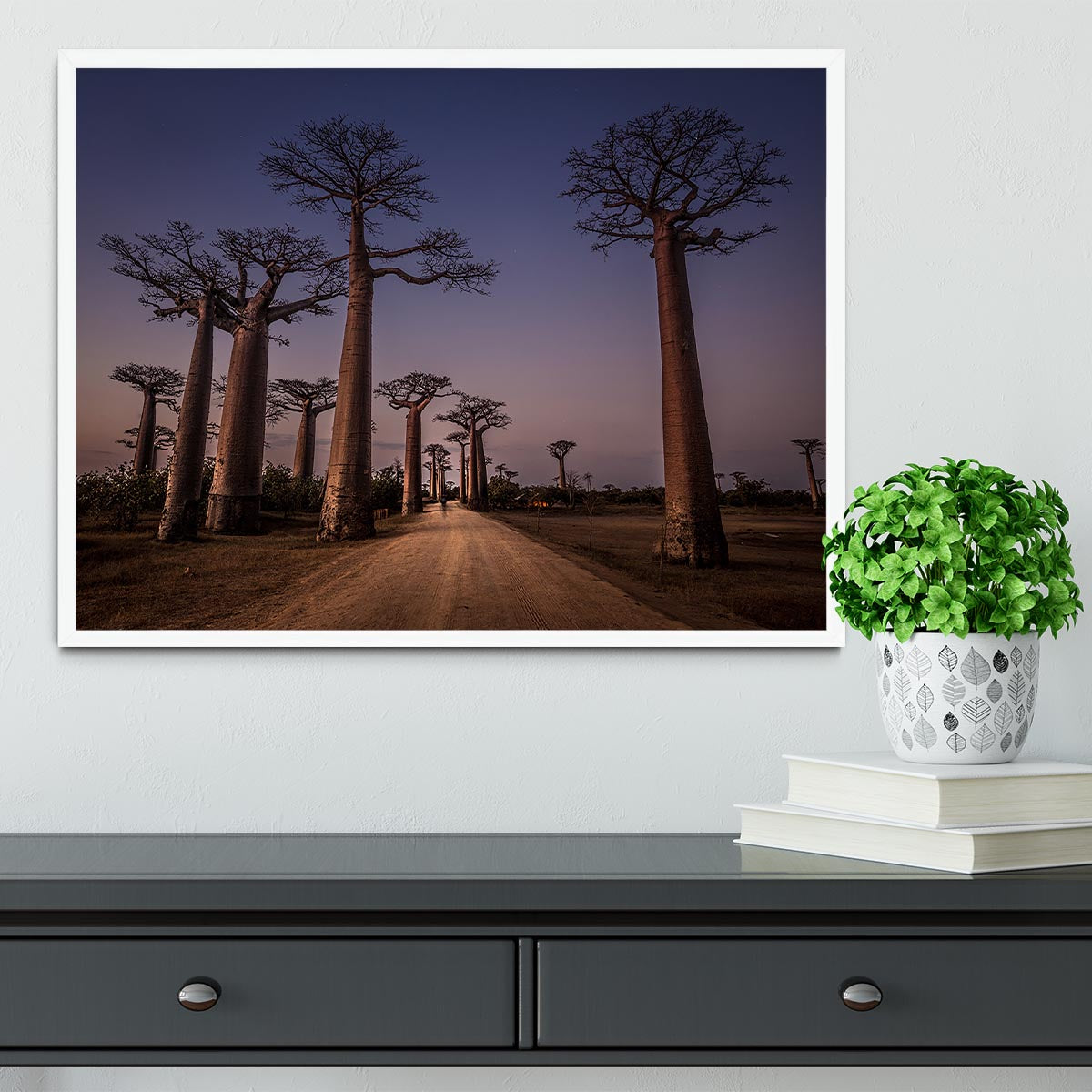 Allace Des Baobabs Framed Print - Canvas Art Rocks -6