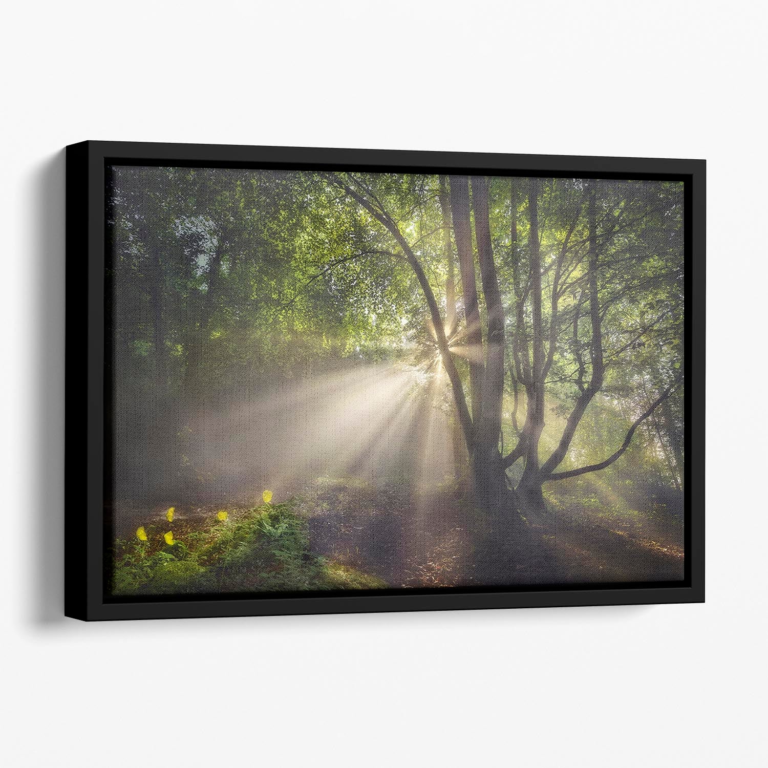 The Morning Light Floating Framed Canvas - Canvas Art Rocks - 1