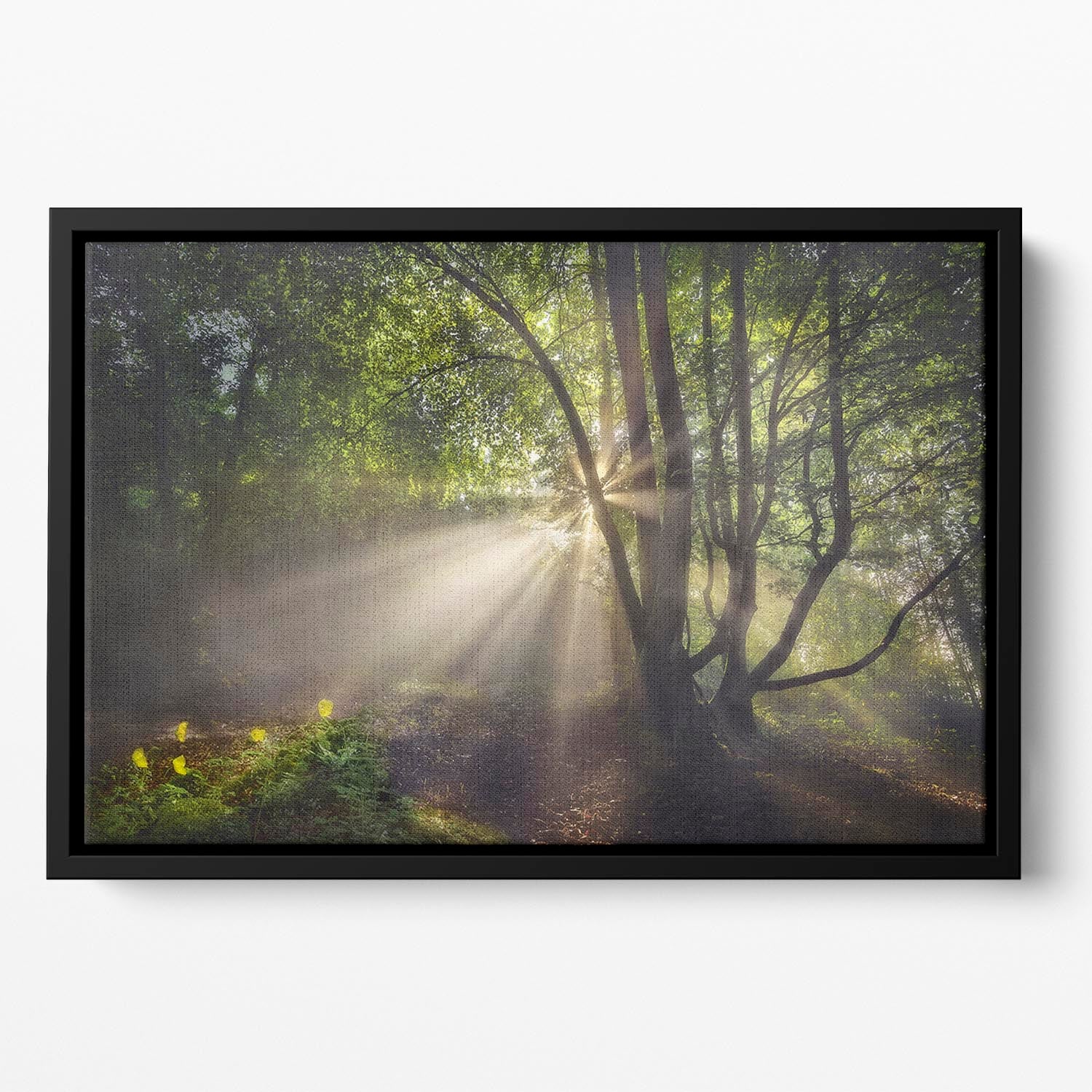 The Morning Light Floating Framed Canvas - Canvas Art Rocks - 2