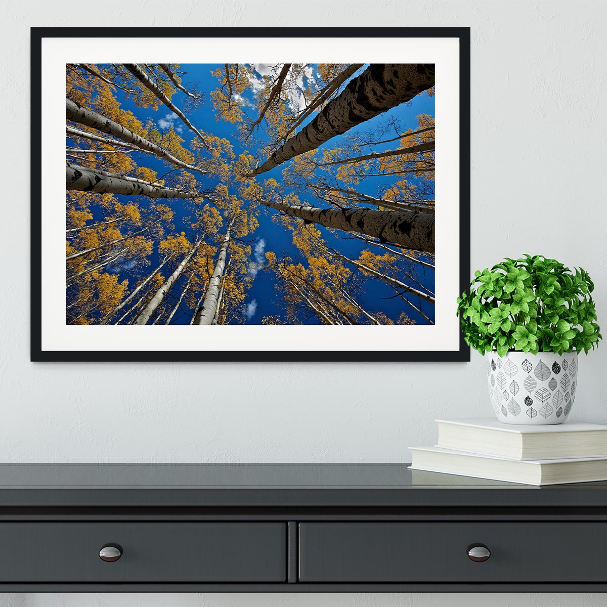 Aspen's Fall Framed Print - Canvas Art Rocks - 1