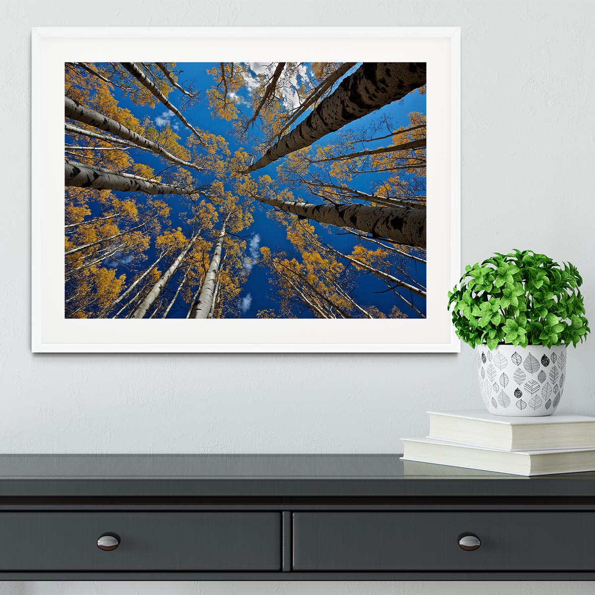 Aspen's Fall Framed Print - Canvas Art Rocks - 5