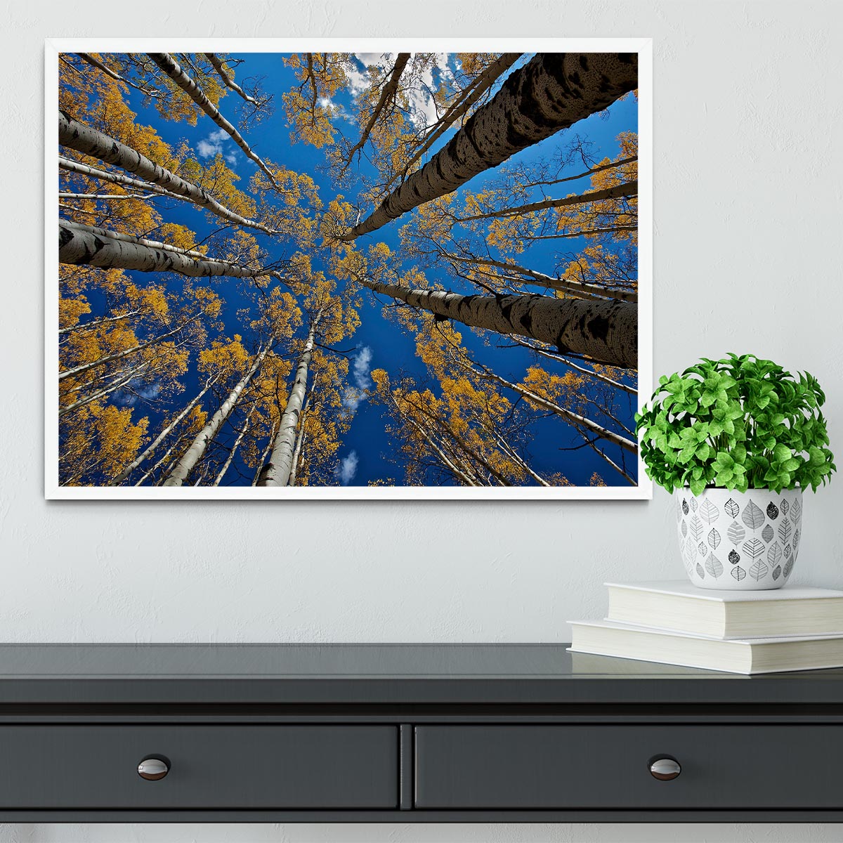 Aspen's Fall Framed Print - Canvas Art Rocks -6