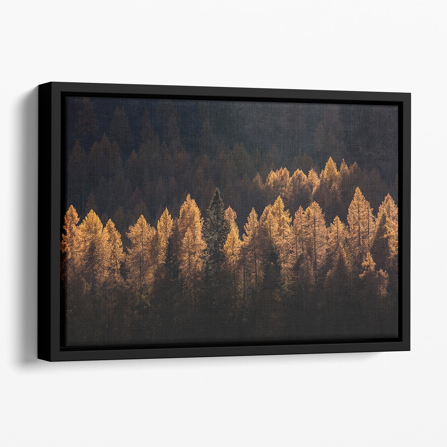 Light For A Few Floating Framed Canvas - Canvas Art Rocks - 1