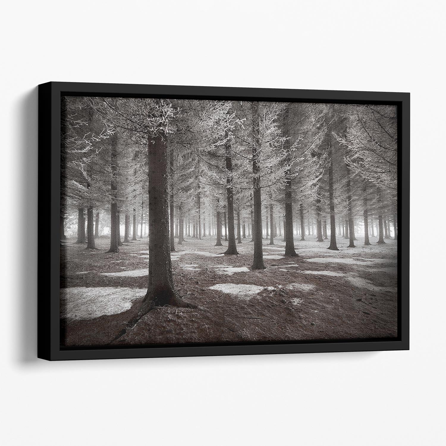 The Onset Of Winter Floating Framed Canvas - Canvas Art Rocks - 1