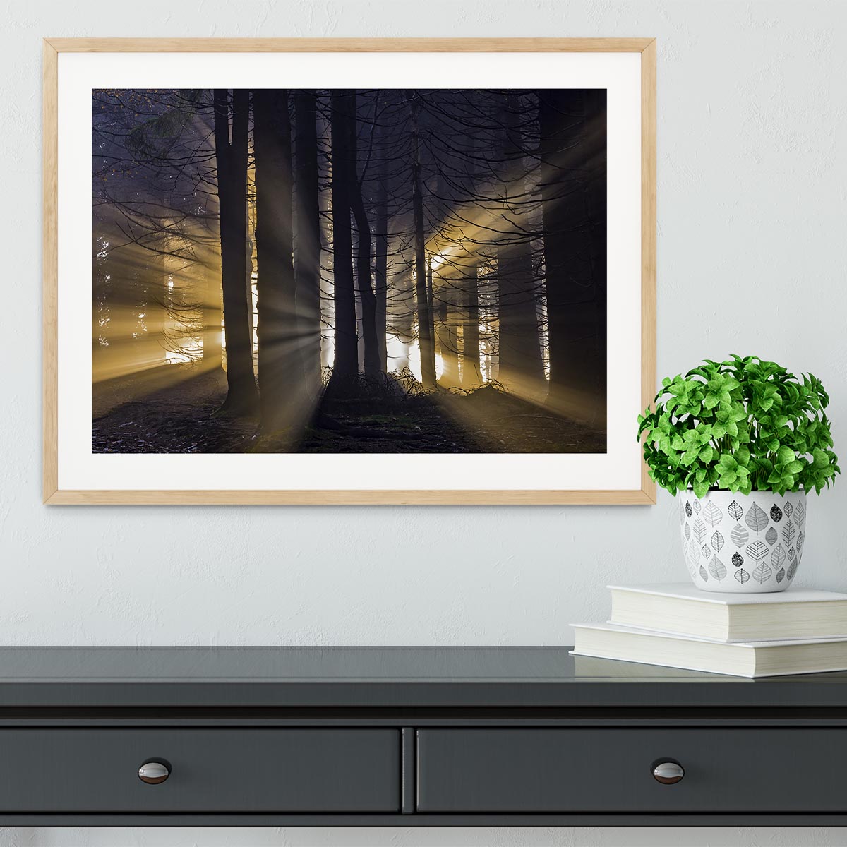 Autumn Forest Framed Print - Canvas Art Rocks - 3