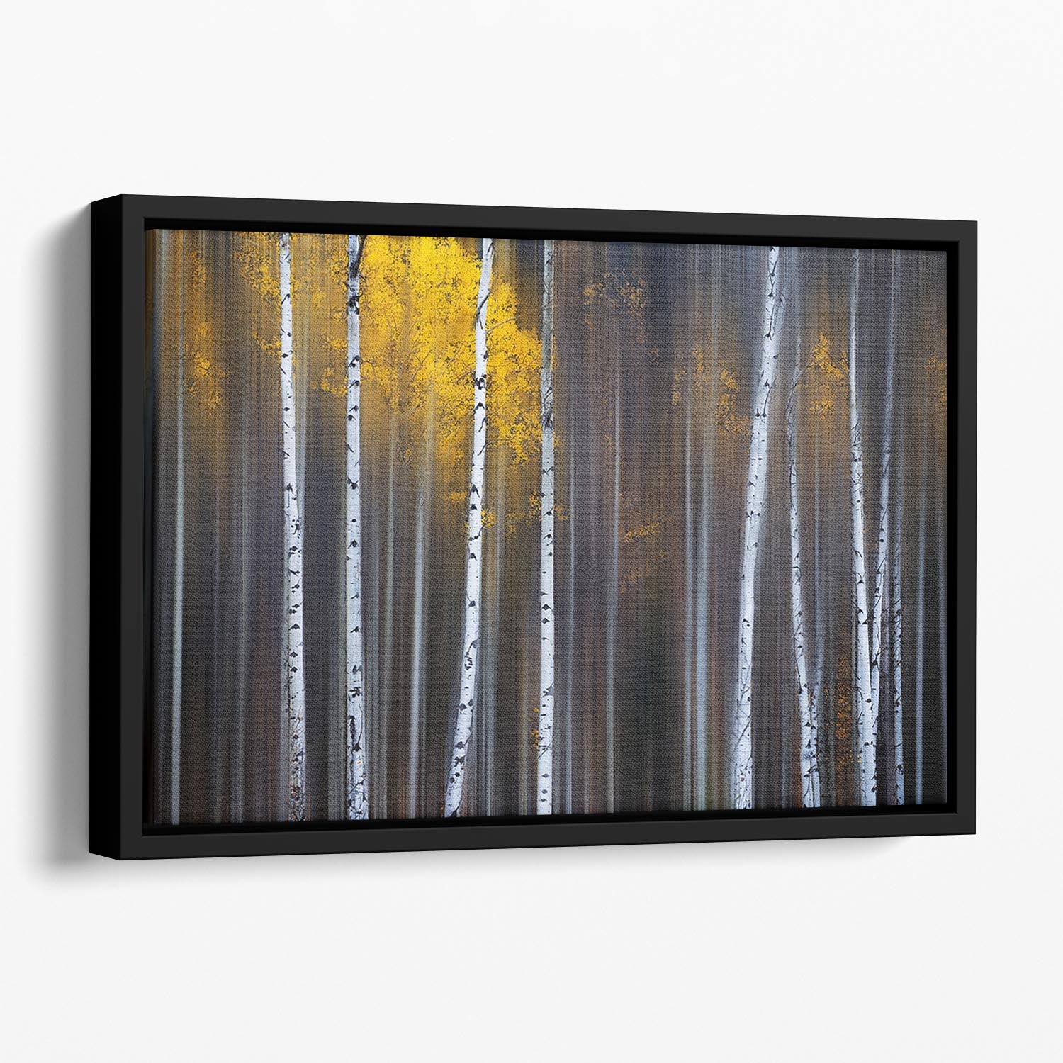 Curtain Of Fall Floating Framed Canvas - Canvas Art Rocks - 1