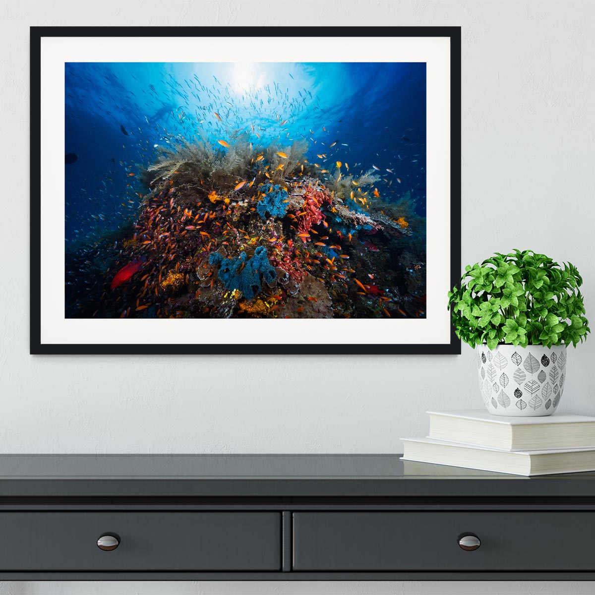 Apnea Framed Print - Canvas Art Rocks - 1