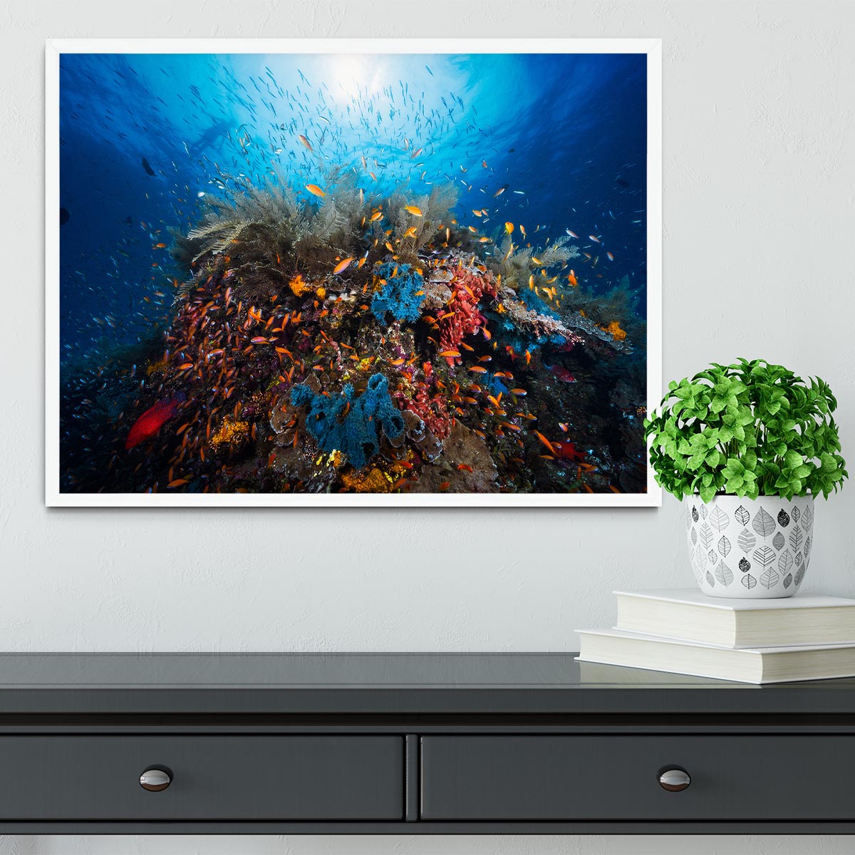 Apnea Framed Print - Canvas Art Rocks -6