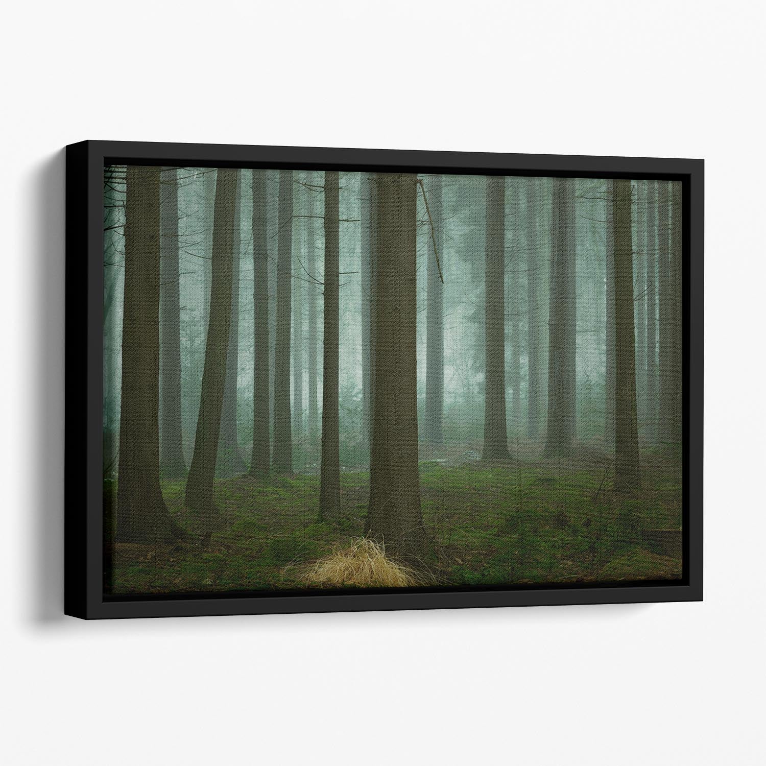 The Cold, Dark Days Of Winter Floating Framed Canvas - Canvas Art Rocks - 1