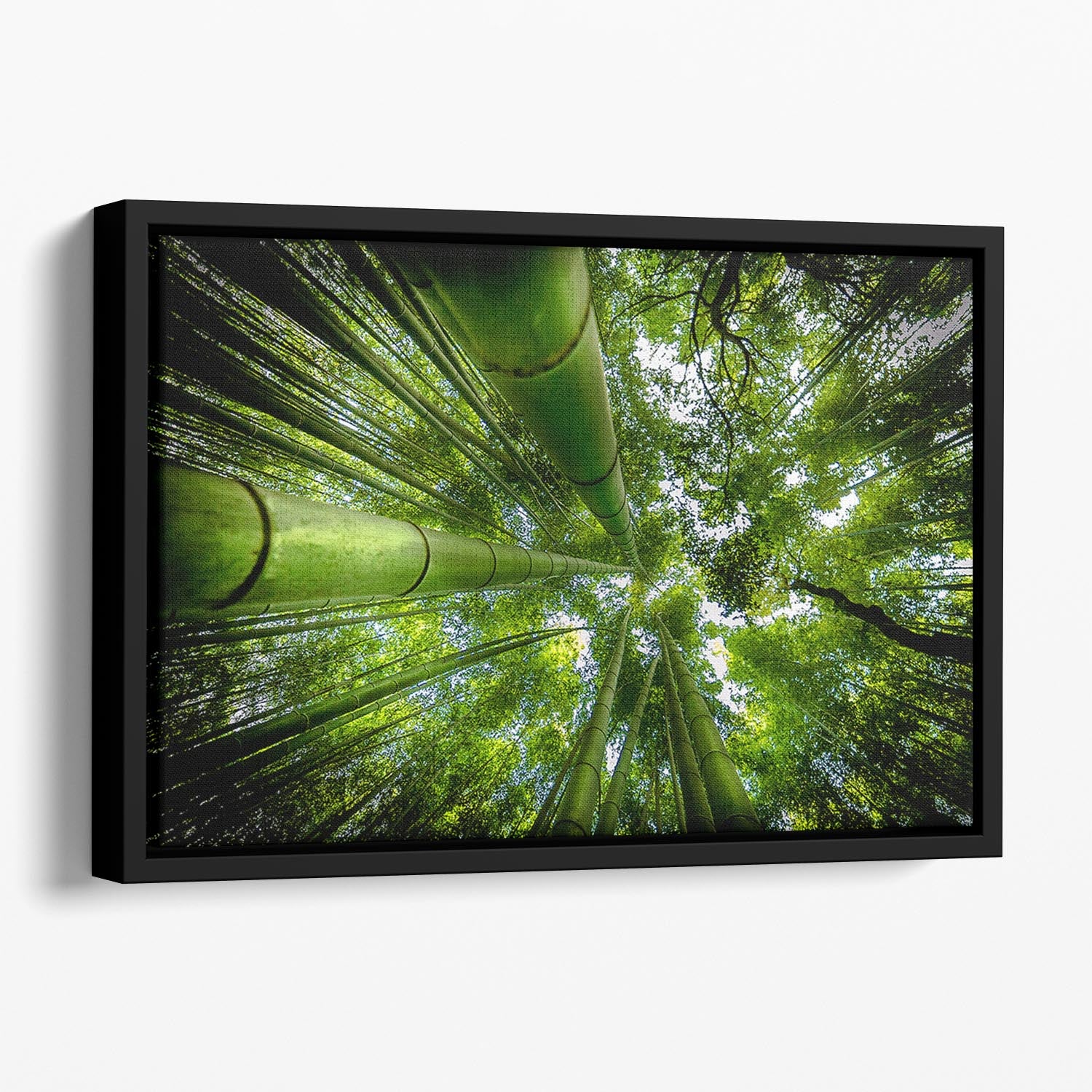 Arashiyama Floating Framed Canvas - Canvas Art Rocks - 1