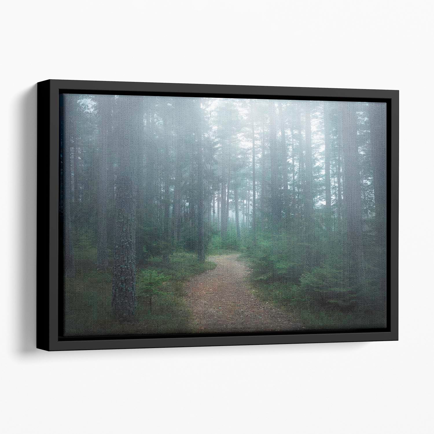 The Forest Of Secrets Floating Framed Canvas - Canvas Art Rocks - 1