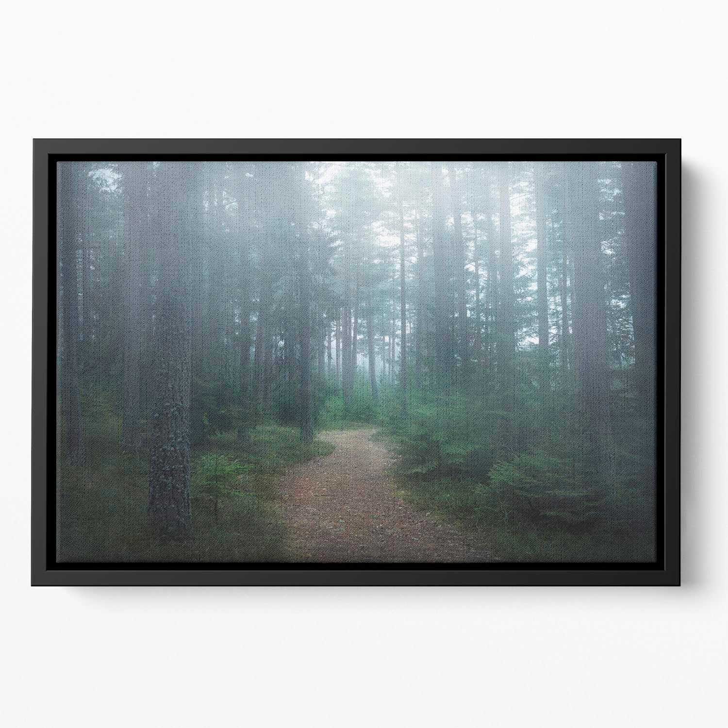 The Forest Of Secrets Floating Framed Canvas - Canvas Art Rocks - 2