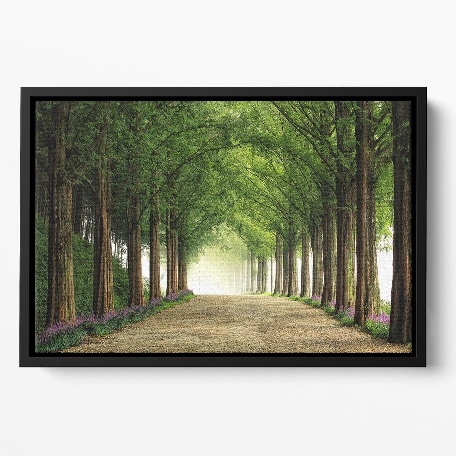 Metasequoia Road Floating Framed Canvas - Canvas Art Rocks - 2