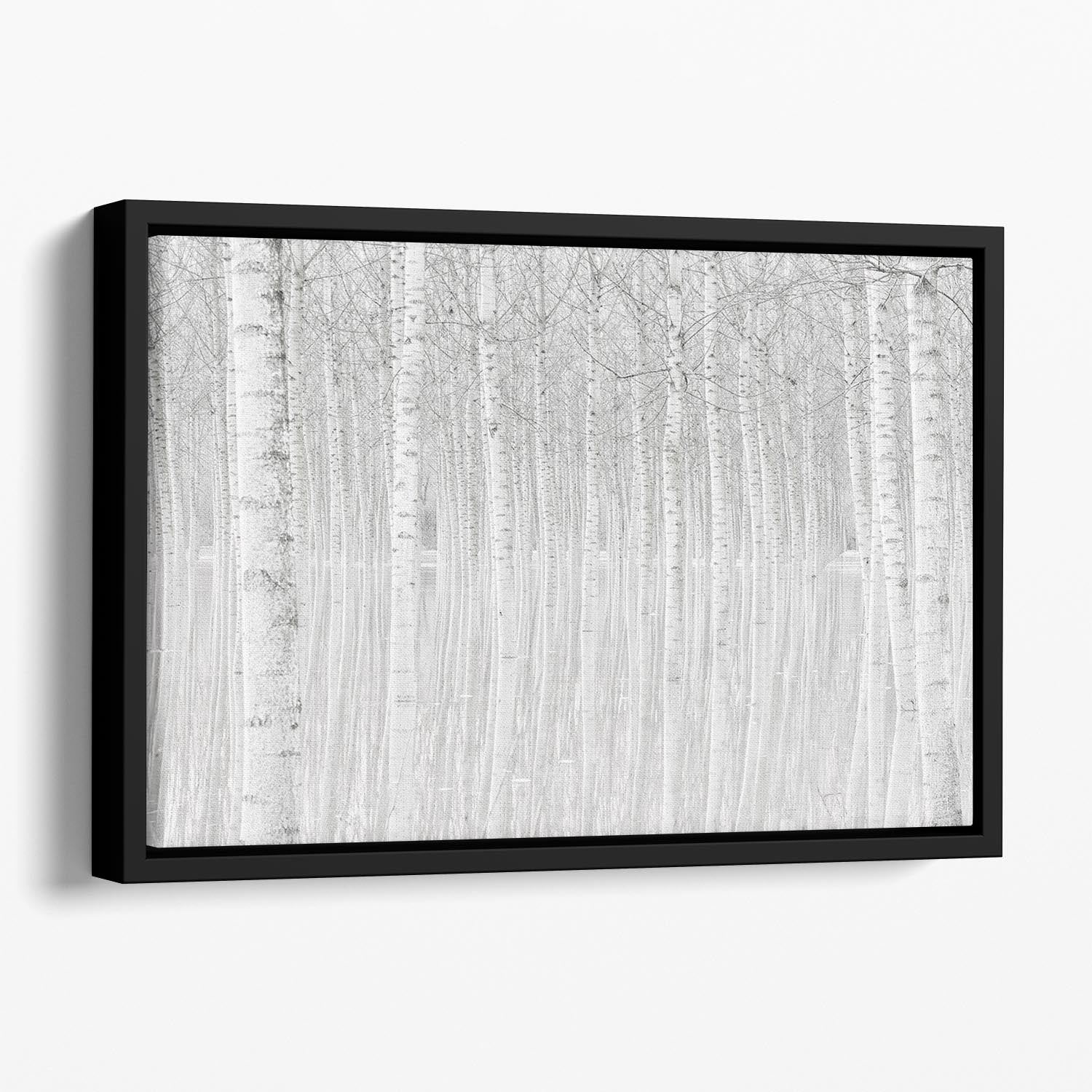 Trees Floating Framed Canvas - Canvas Art Rocks - 1